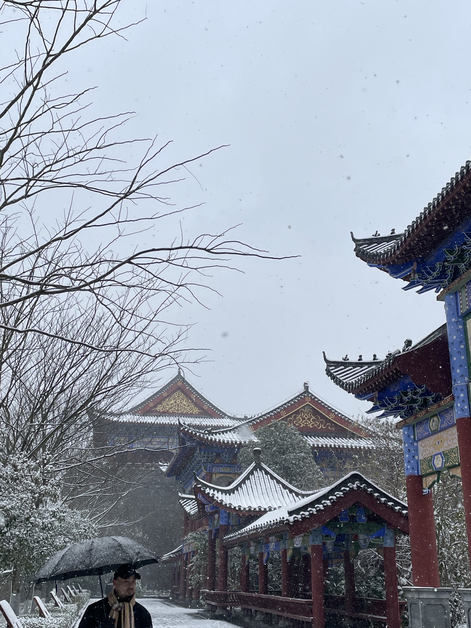 桂阳文化园旅行图片 3