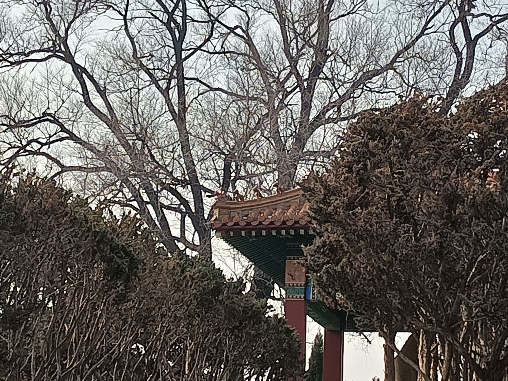 文山公园旅行图片 2