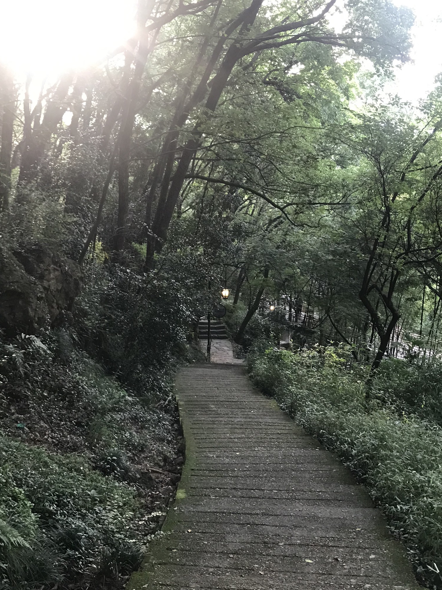虎山公园旅行图片 2