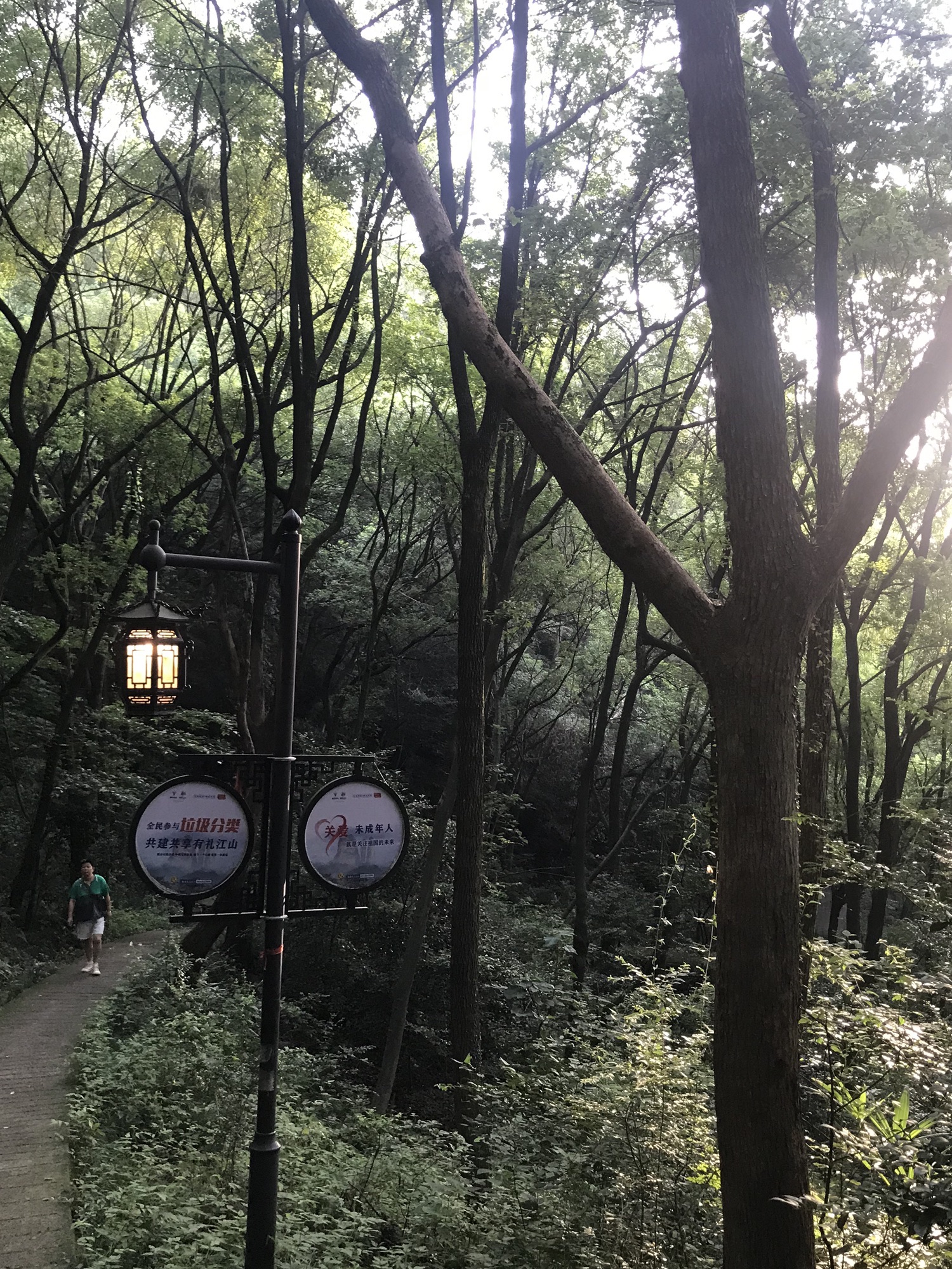虎山公园旅行图片 1