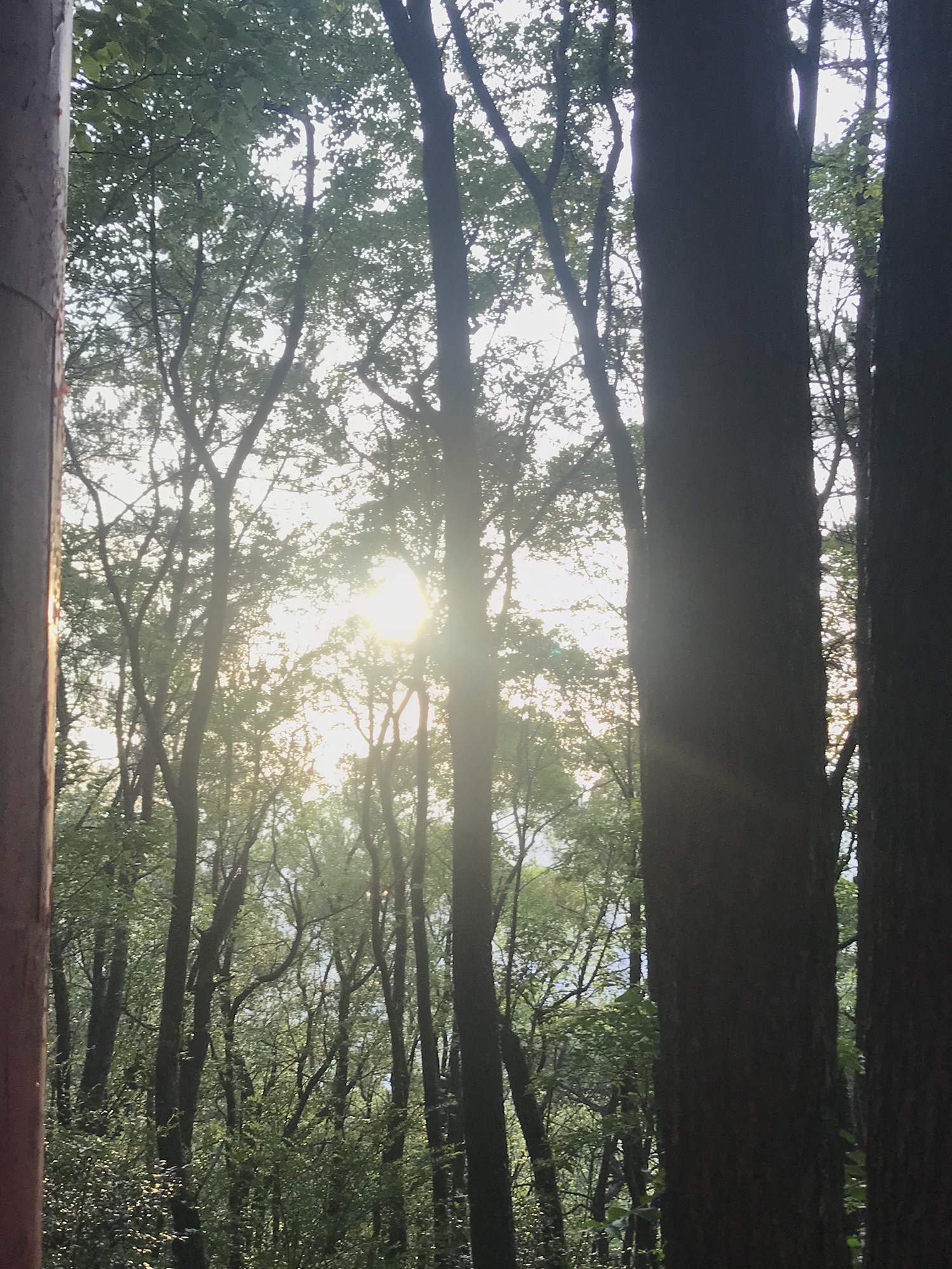 虎山公园旅行图片 3