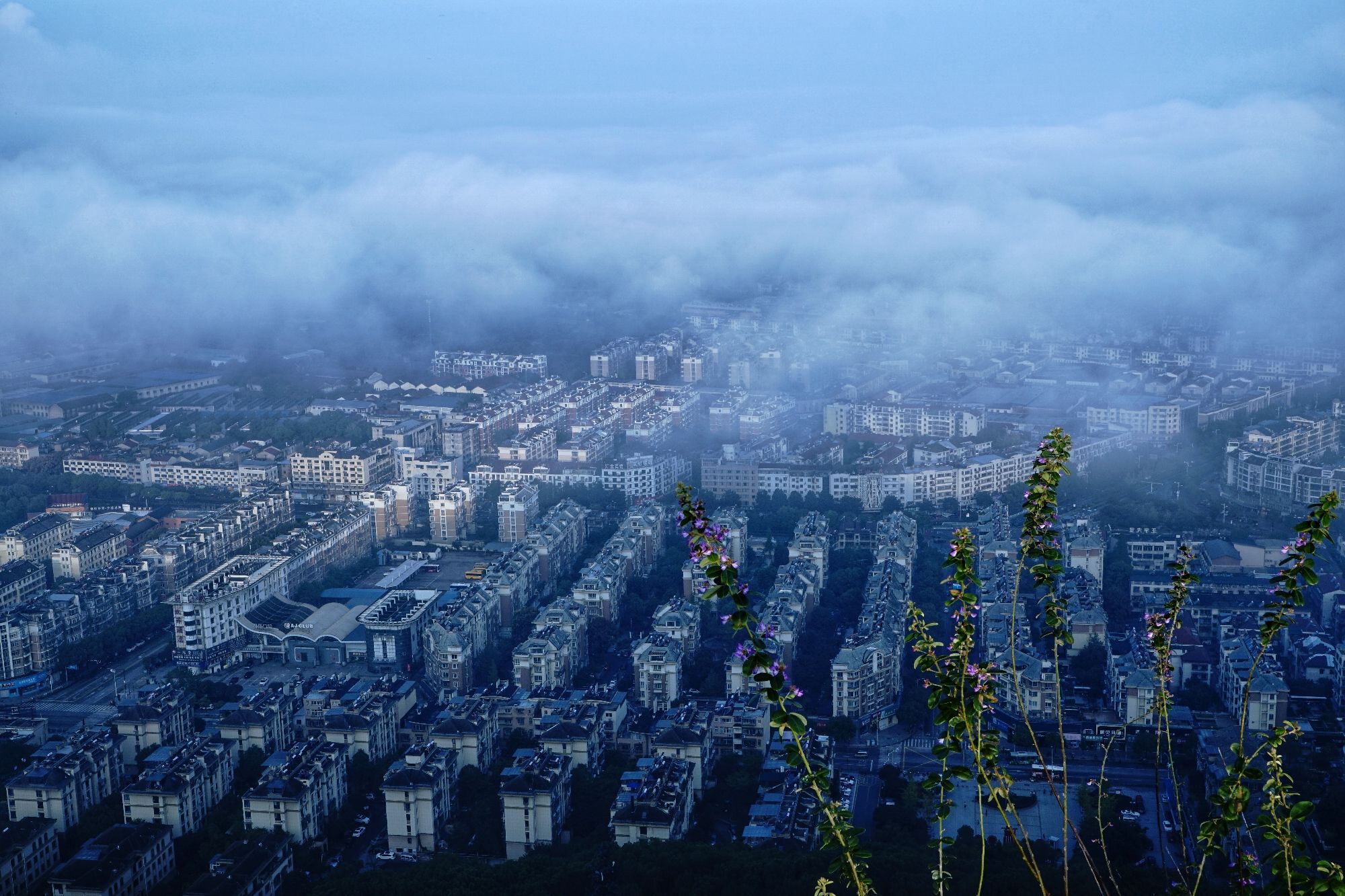 虎山公园旅行图片 2