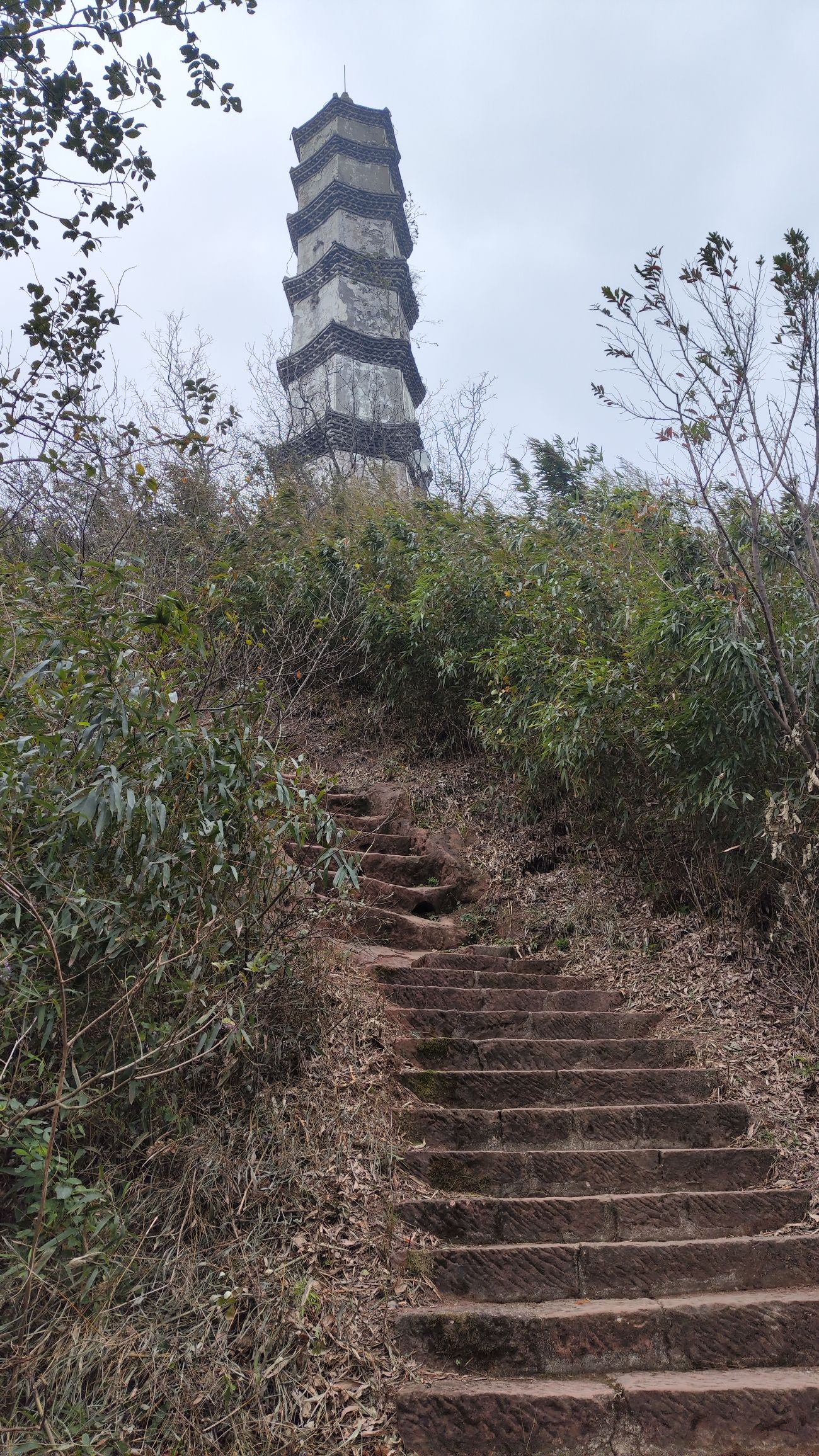 虎山公园旅行图片 3