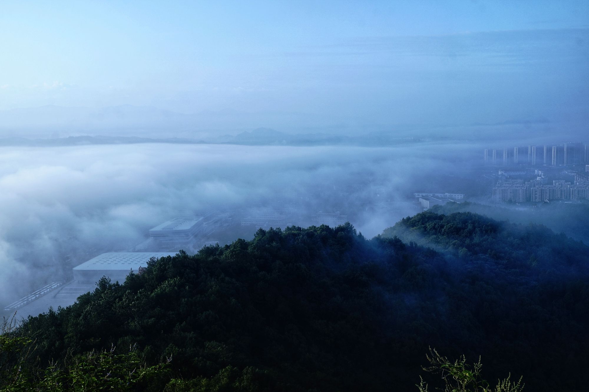 虎山公园旅行图片 3