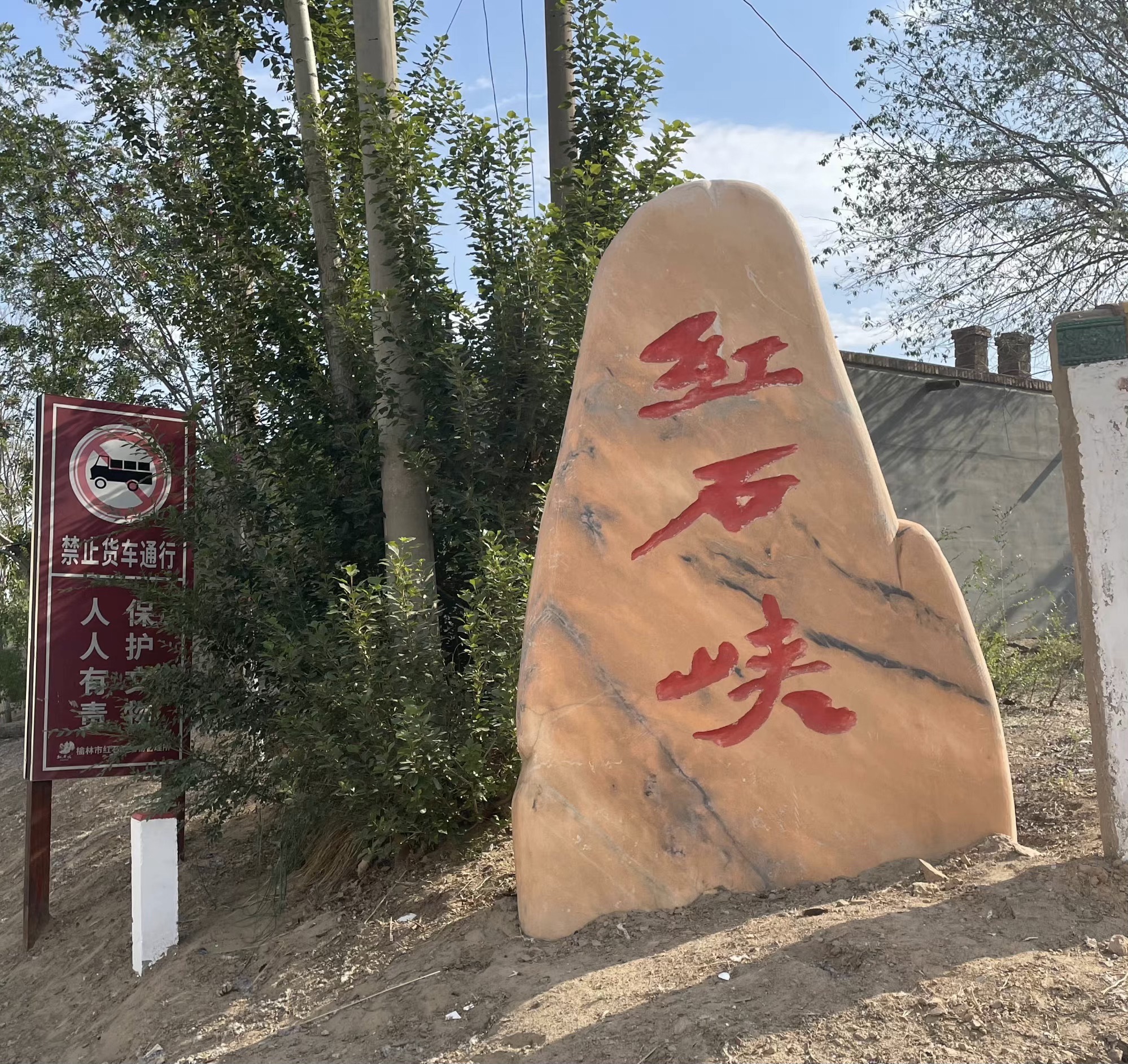 沙地植物园