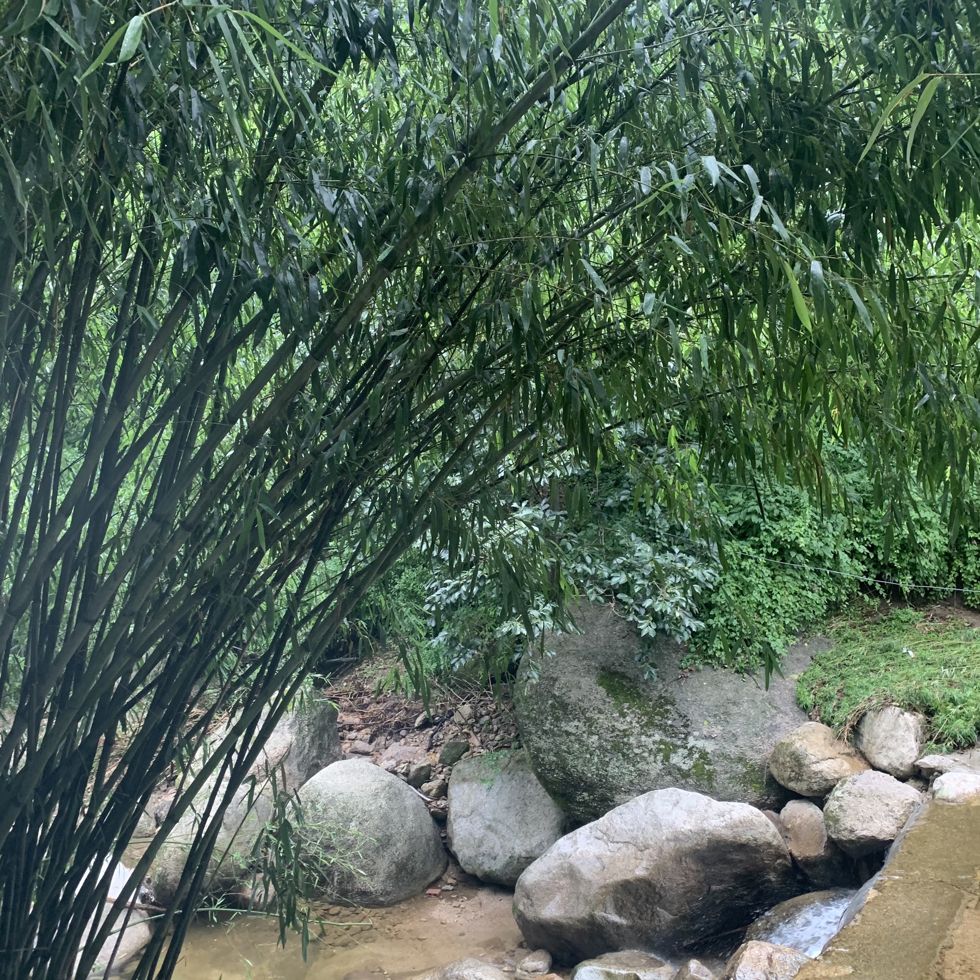 伊河源风景区旅行图片 2