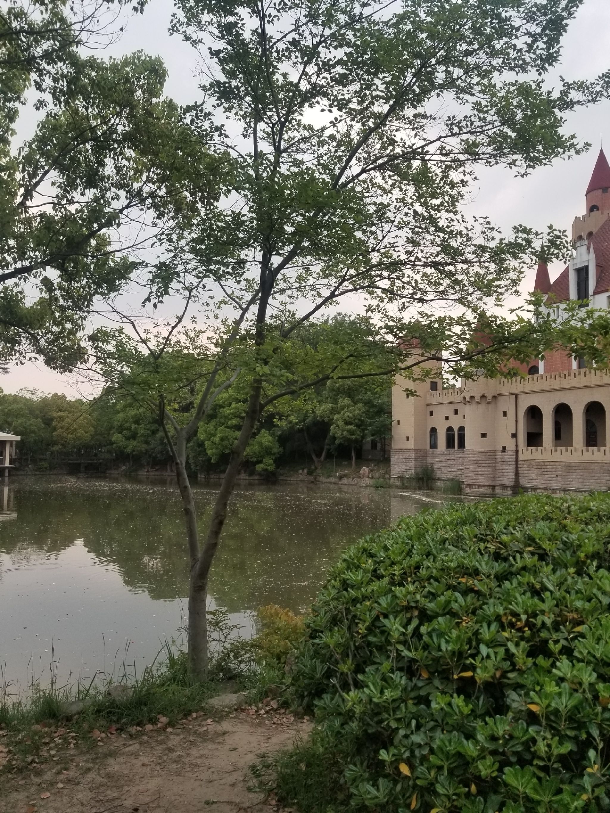 白沙公园旅行图片 1