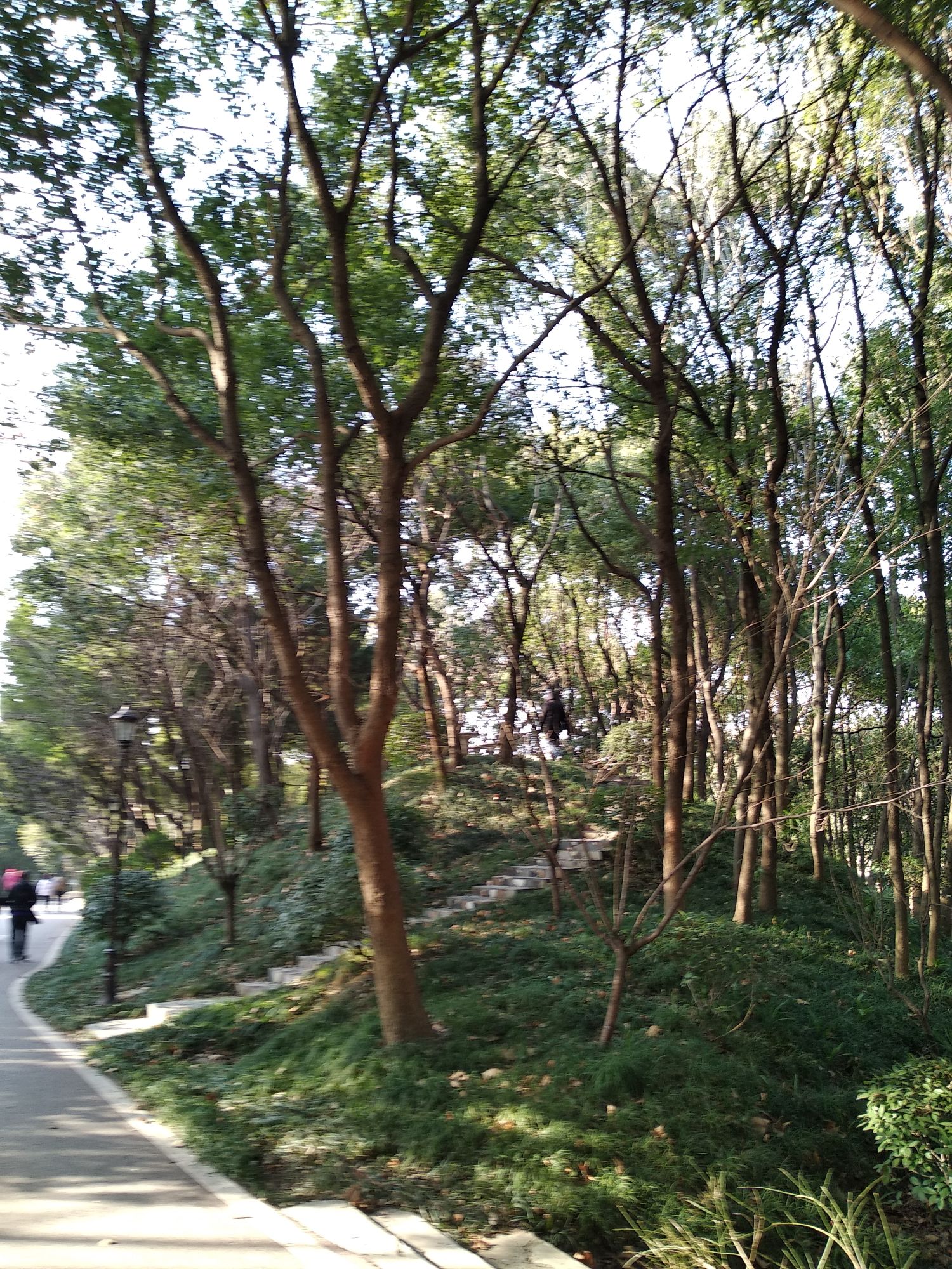 白沙公园旅行图片 3