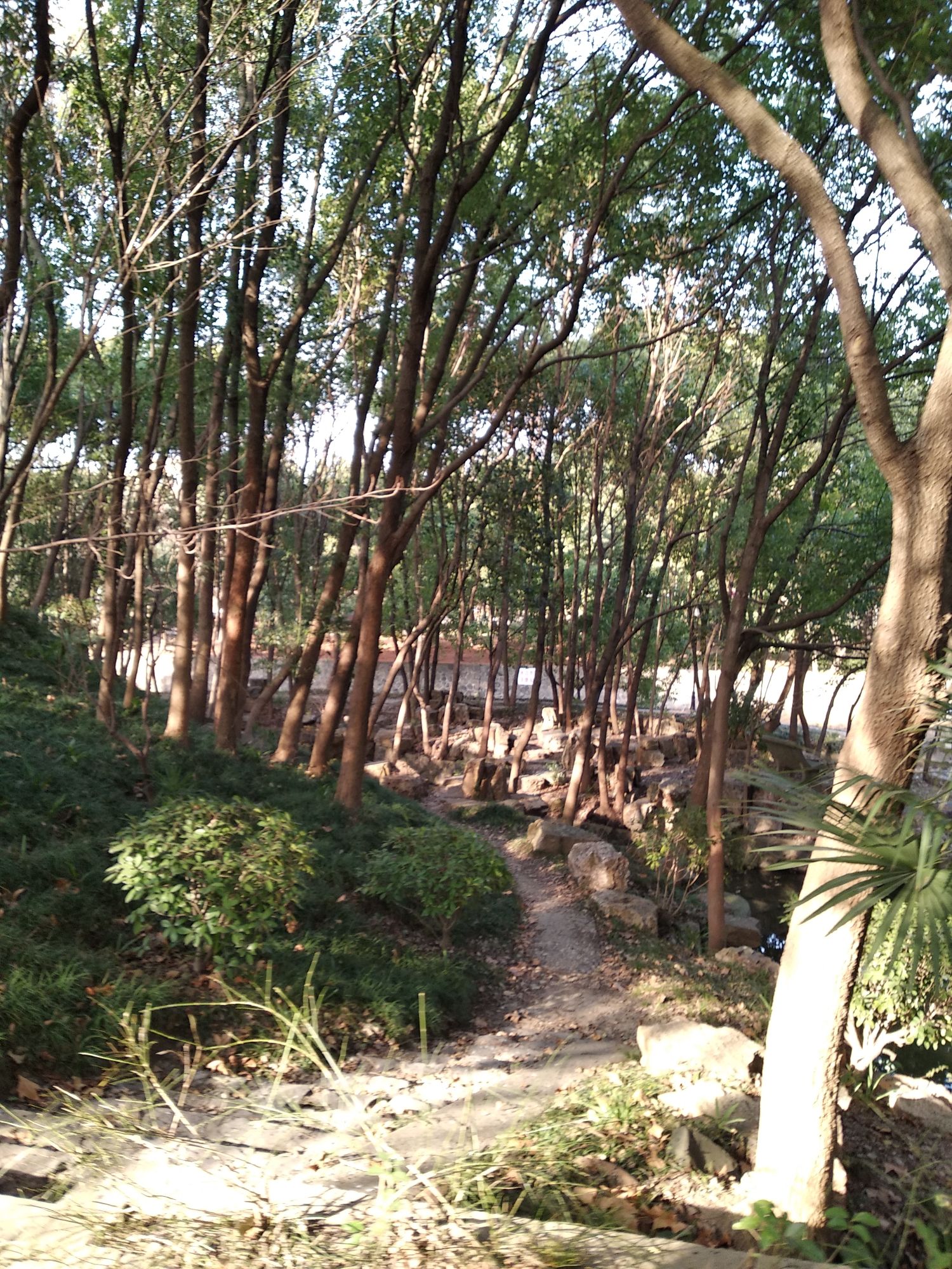 白沙公园旅行图片 1