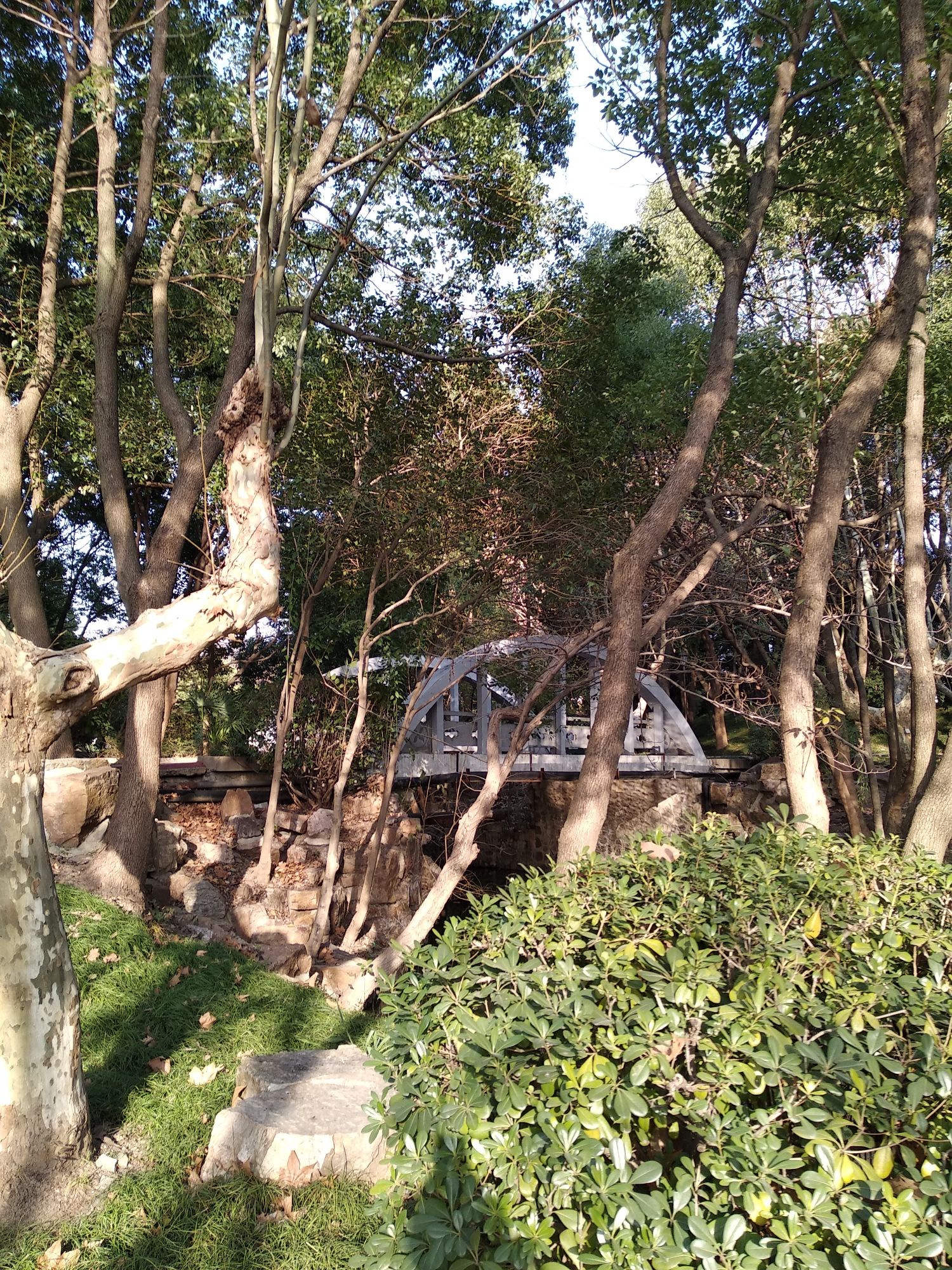 白沙公园旅行图片 2