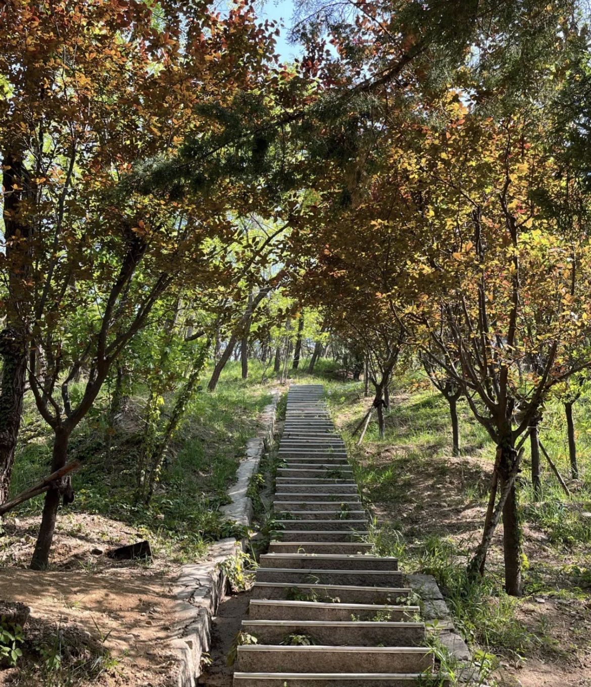 嘉定山公园旅行图片 3