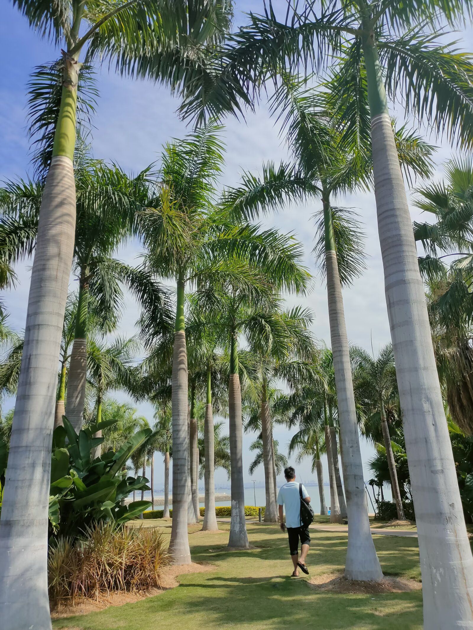 厦门滨海水运动度假区旅行图片 3