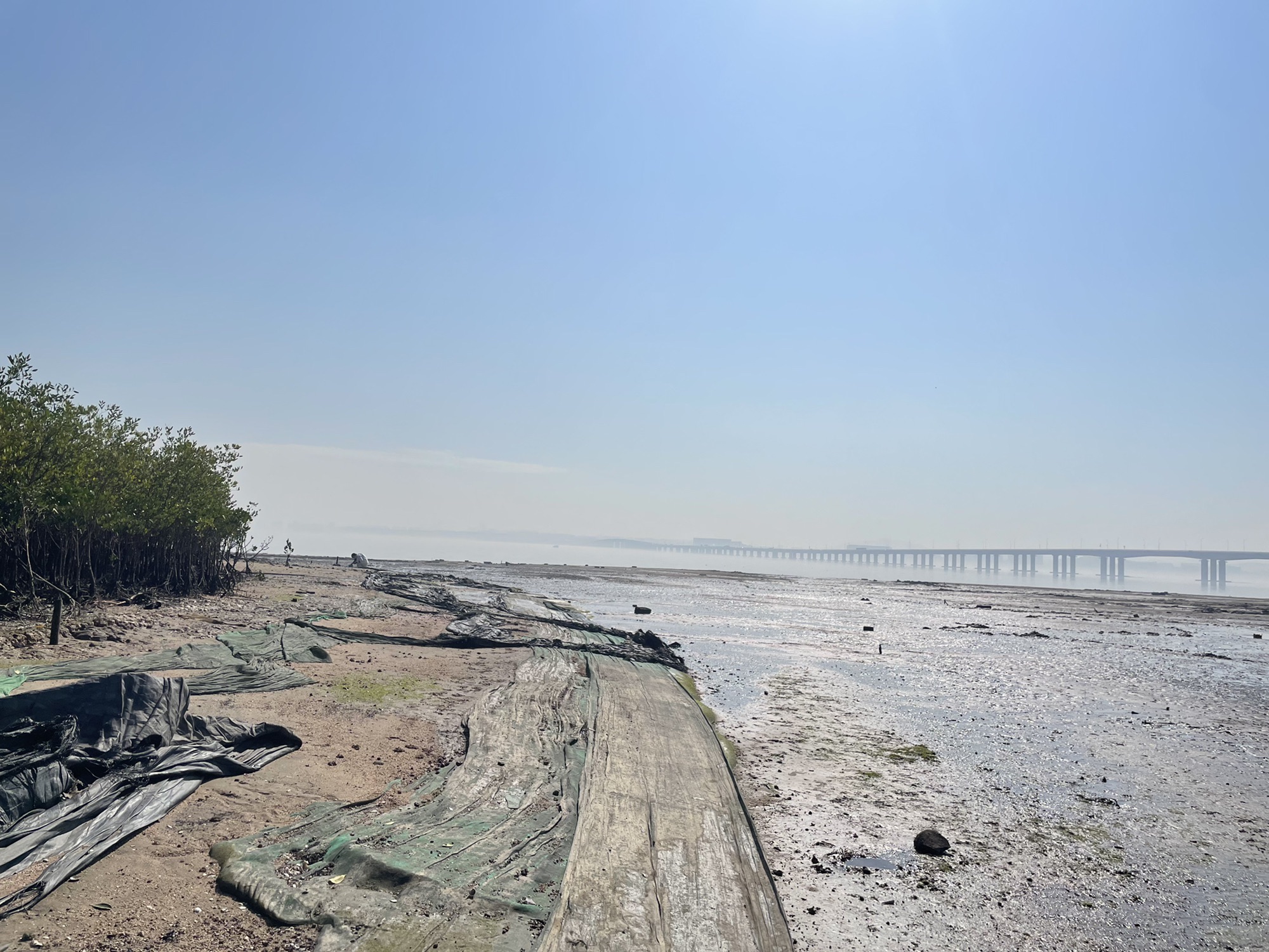 厦门滨海水运动度假区旅行图片 2