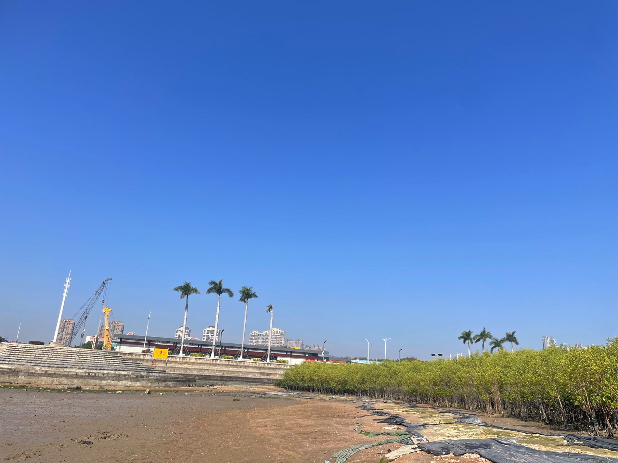 厦门滨海水运动度假区旅行图片 1
