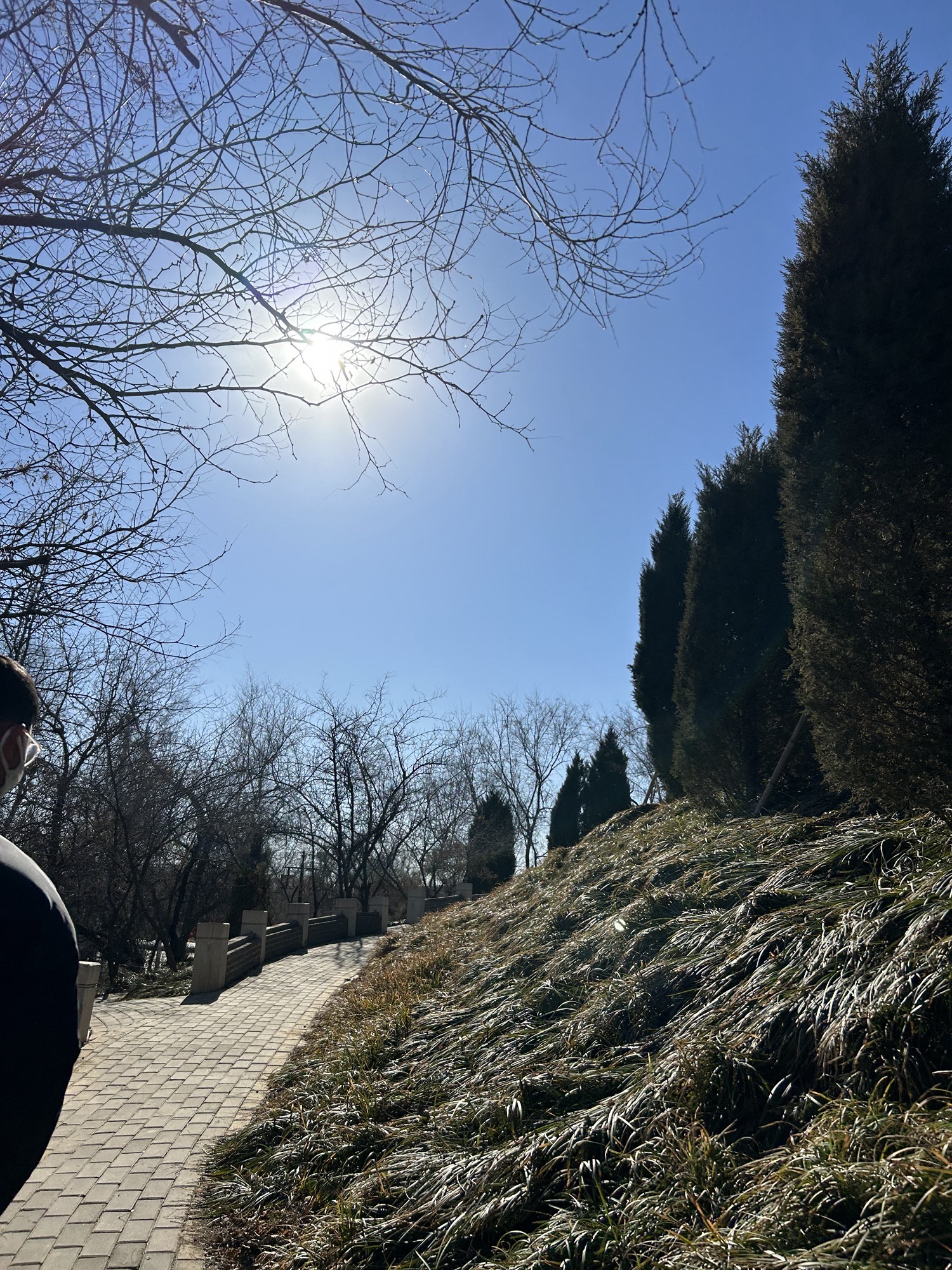 任敖公园旅行图片 3