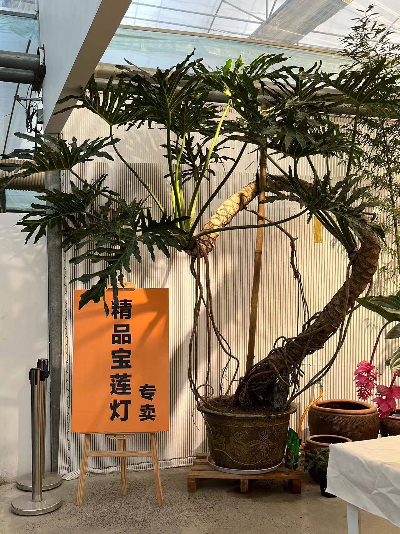 沧州市绿博园