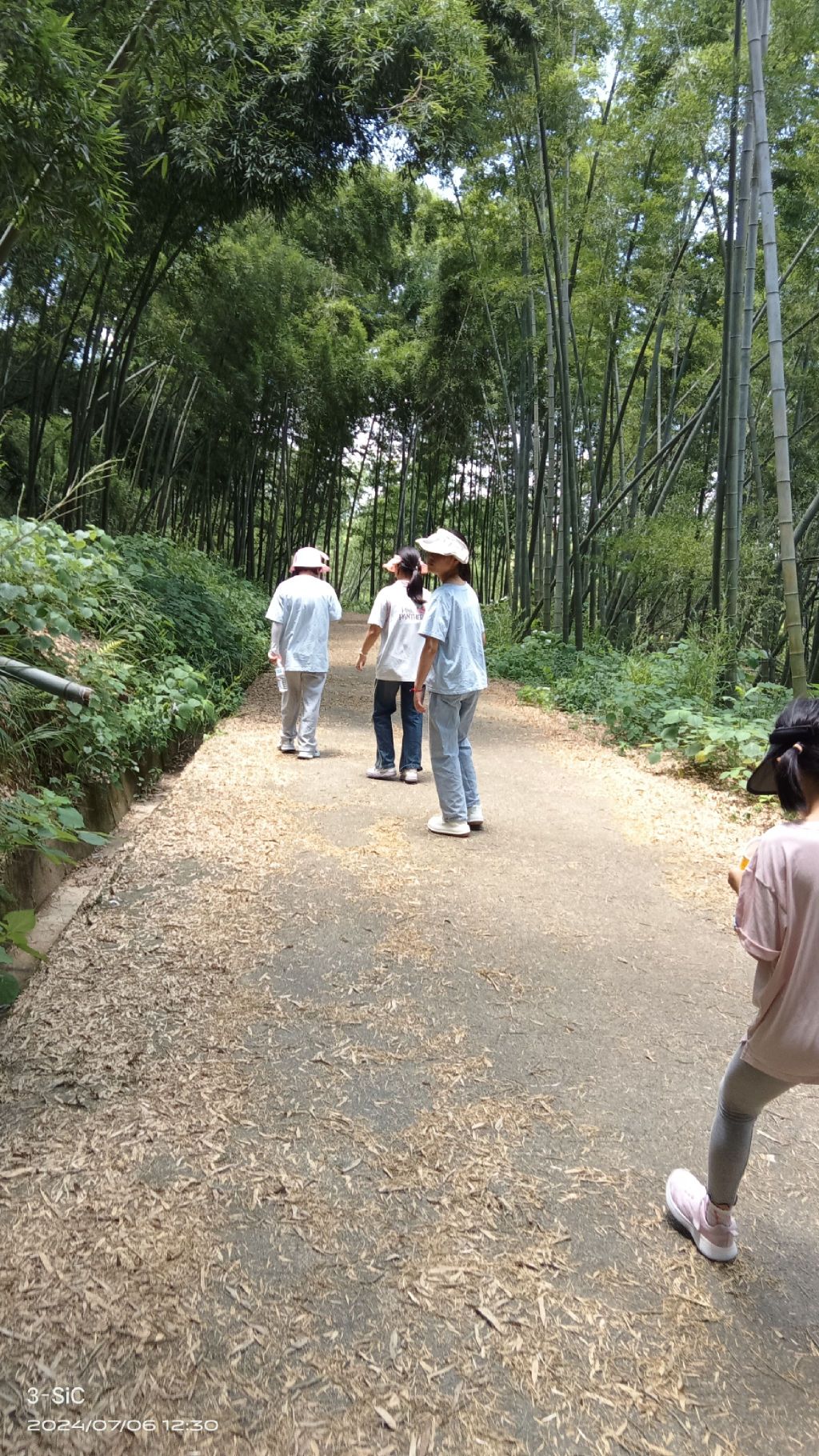 乌山森林公园旅行图片 1