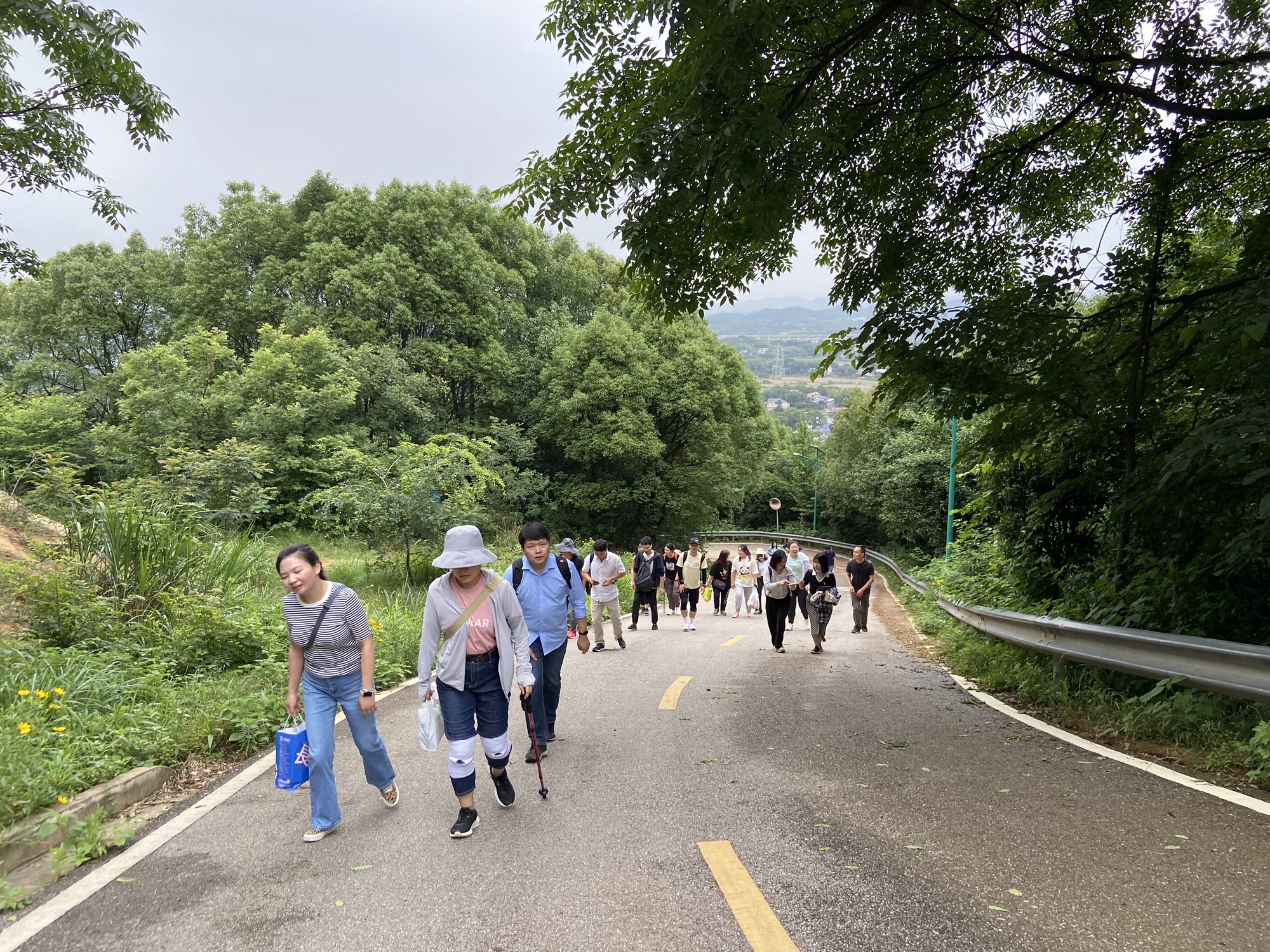 乌山森林公园旅行图片 1
