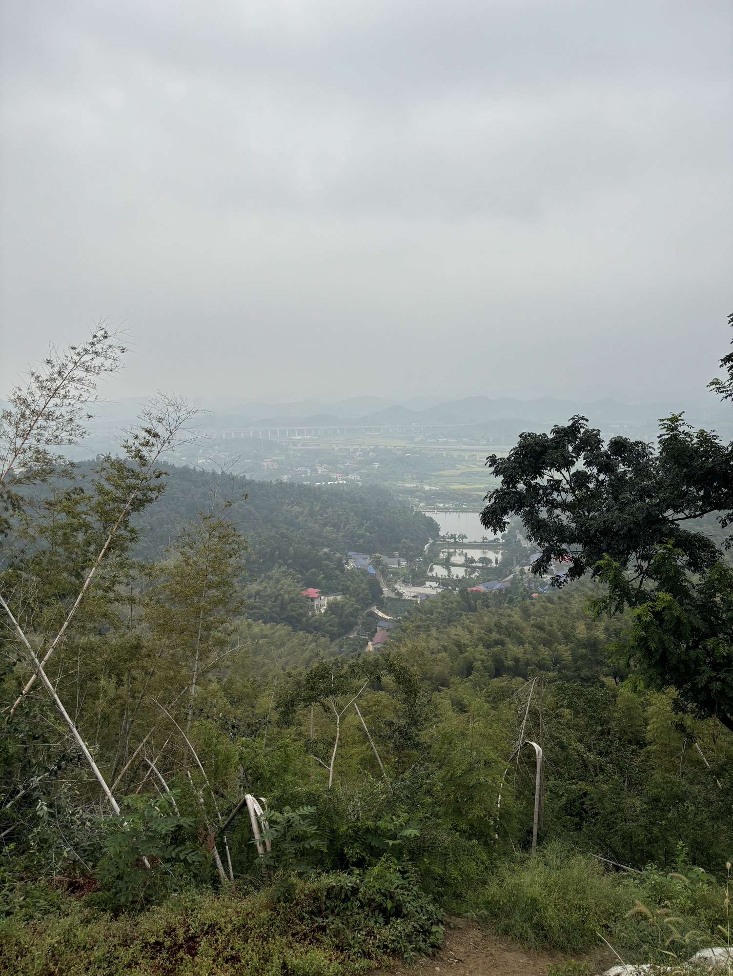 乌山森林公园旅行图片 2