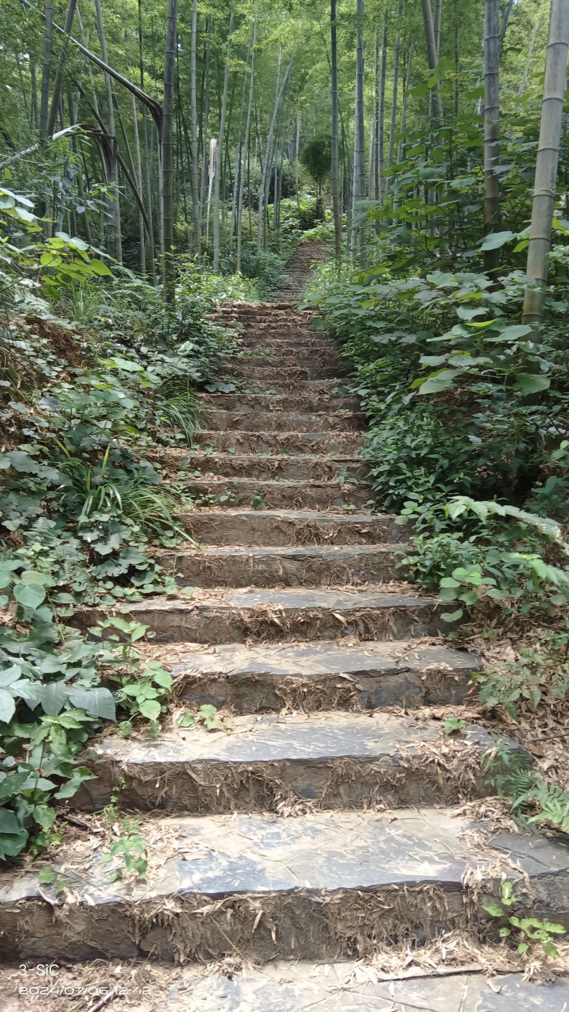 乌山森林公园旅行图片 2