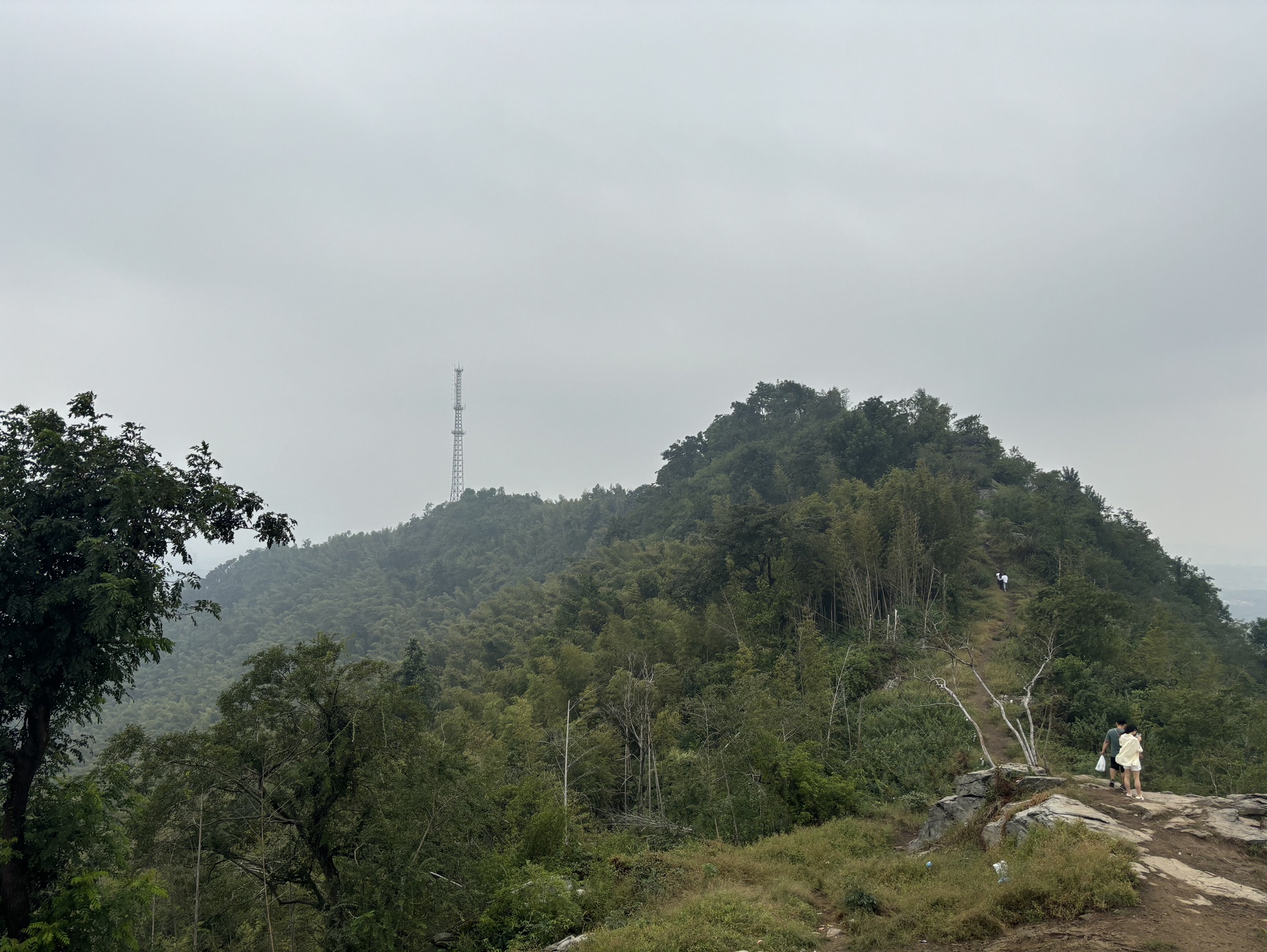 乌山森林公园旅行图片 1