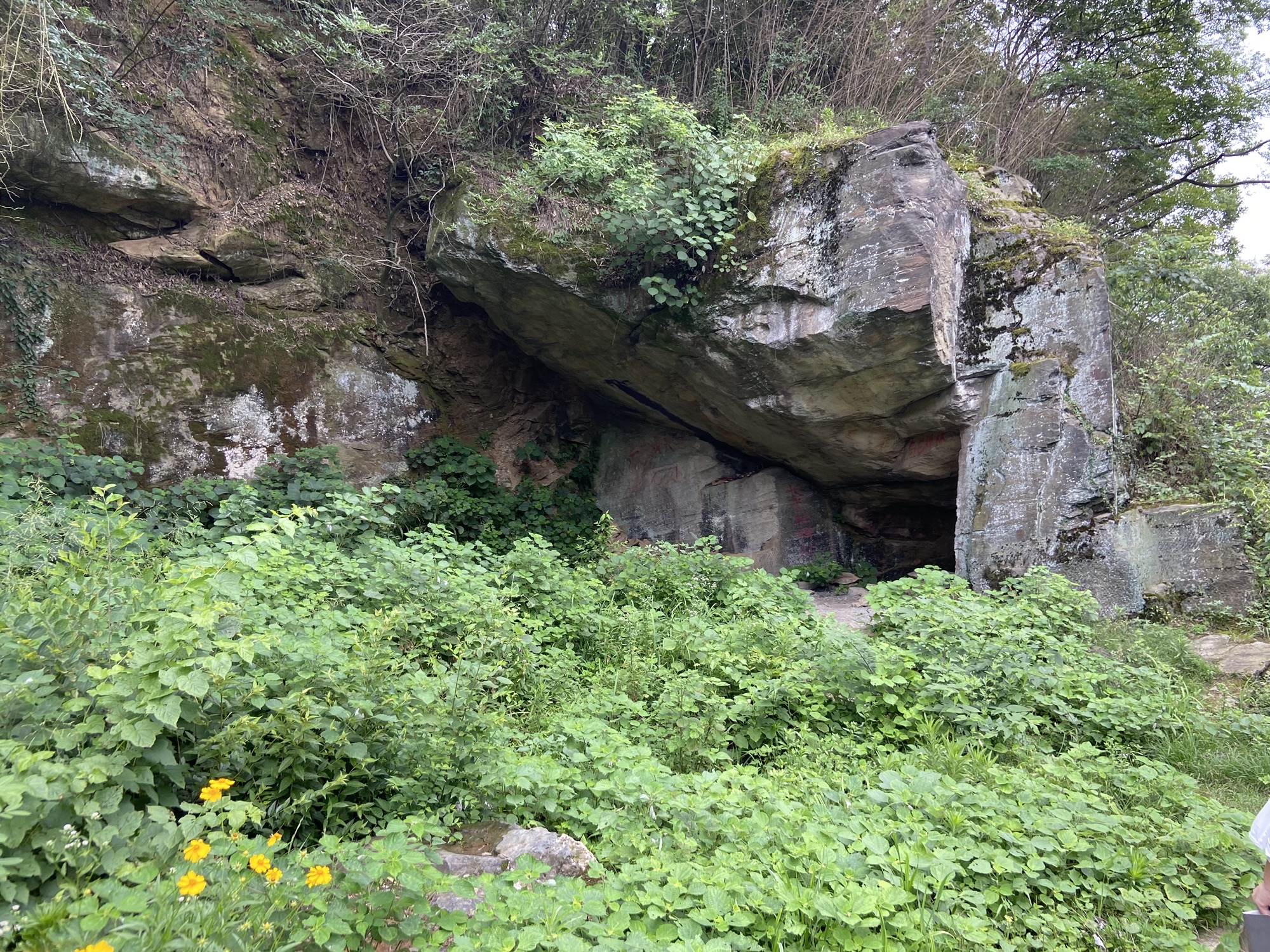 乌山森林公园旅行图片 2
