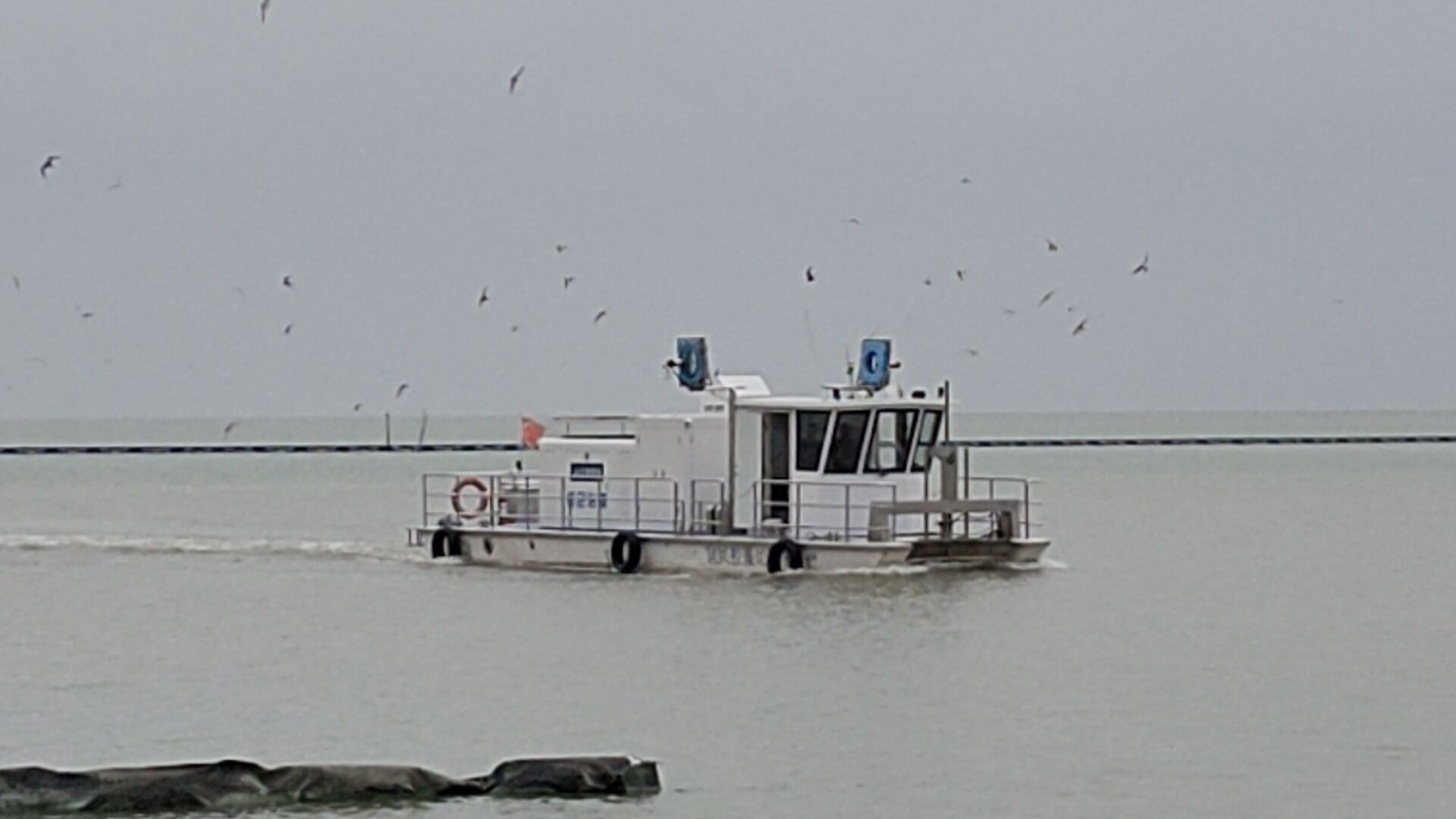丁蜀太湖绿道旅行图片 3
