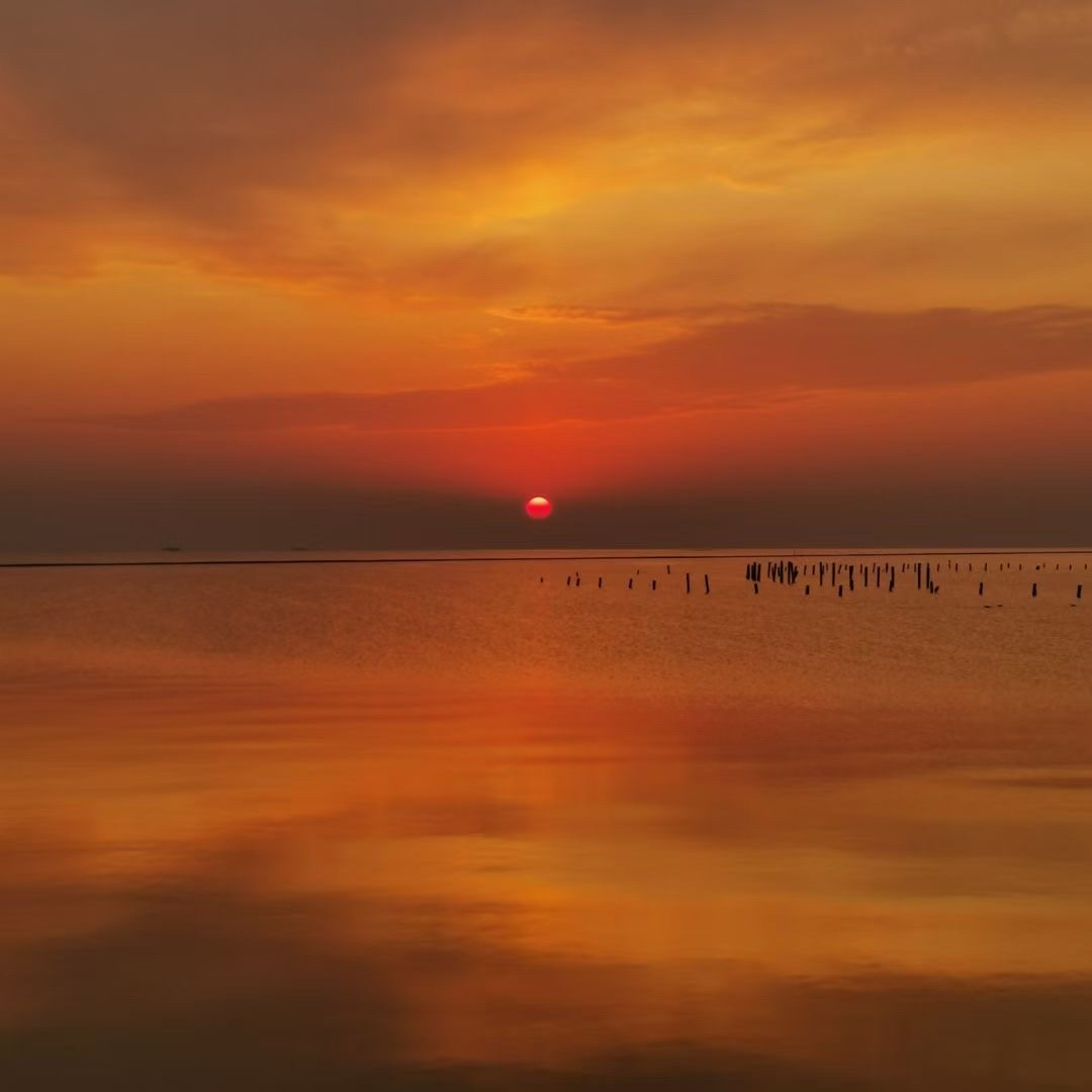 丁蜀太湖绿道旅行图片 1
