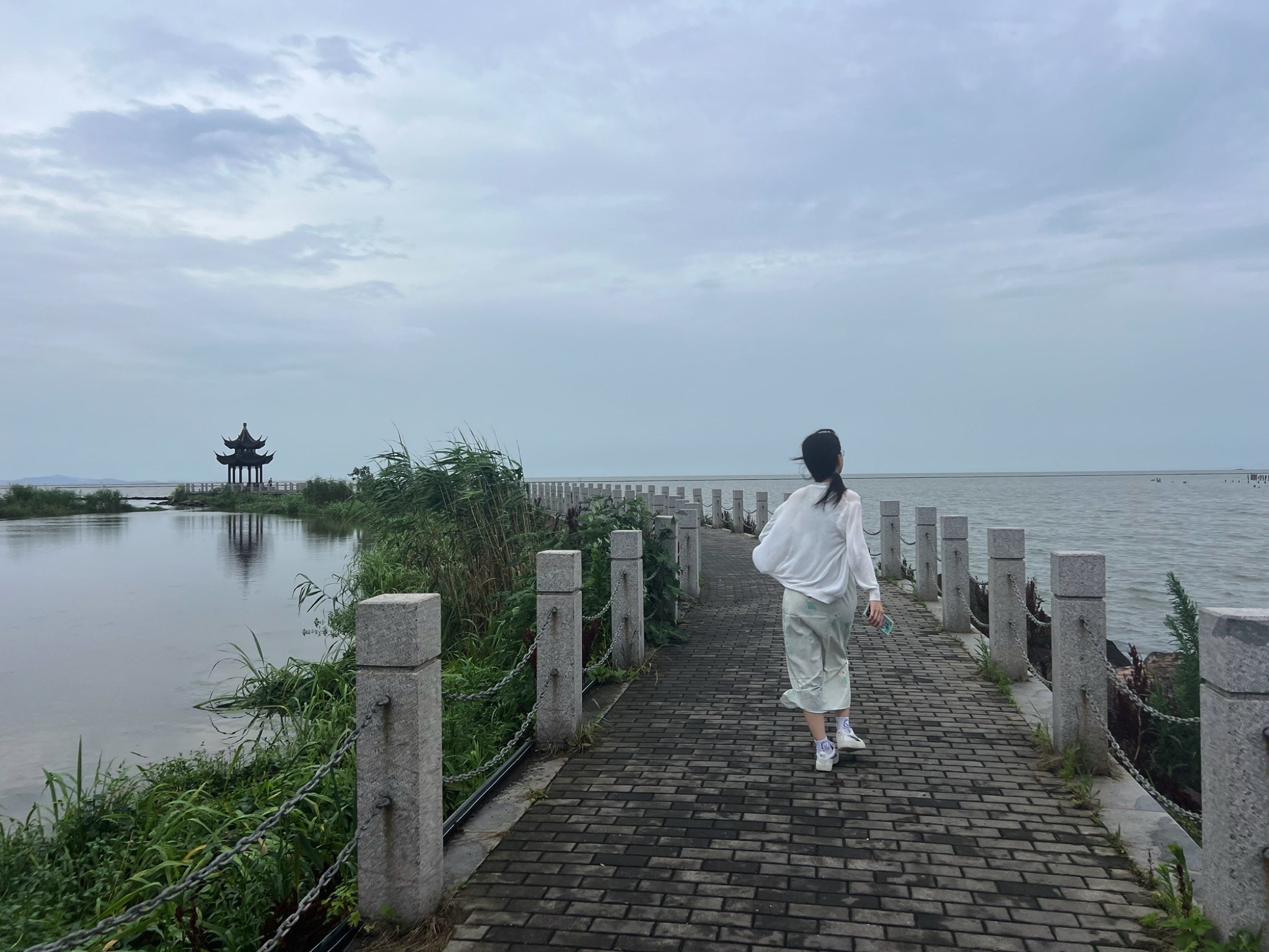丁蜀太湖绿道旅行图片 3