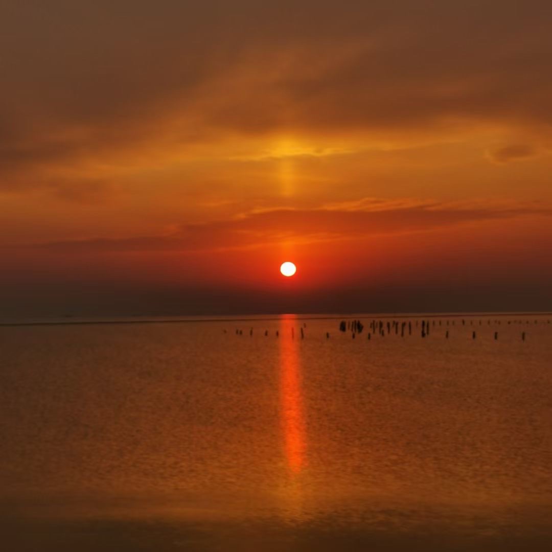 丁蜀太湖绿道旅行图片 2
