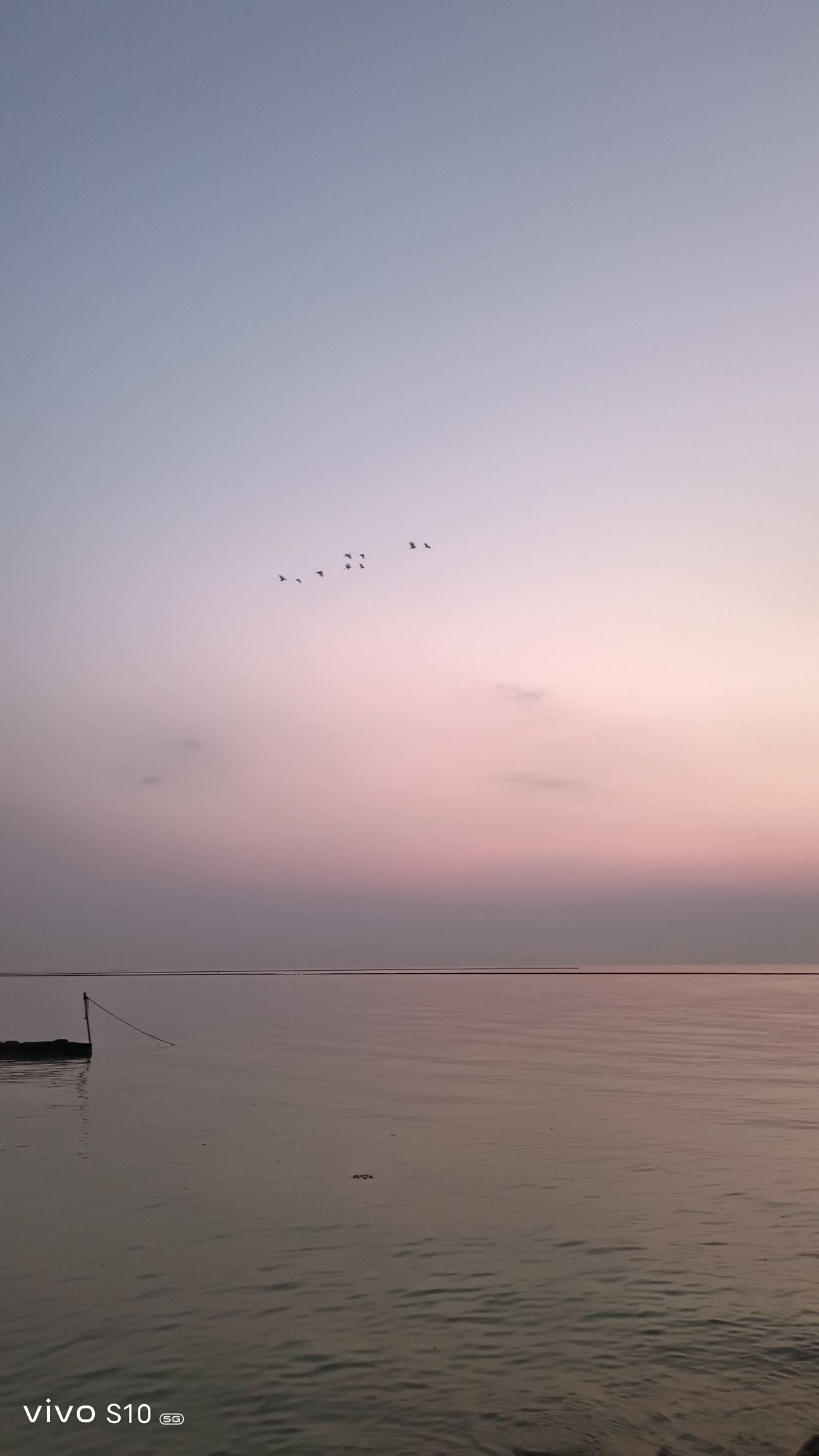 丁蜀太湖绿道旅行图片 1