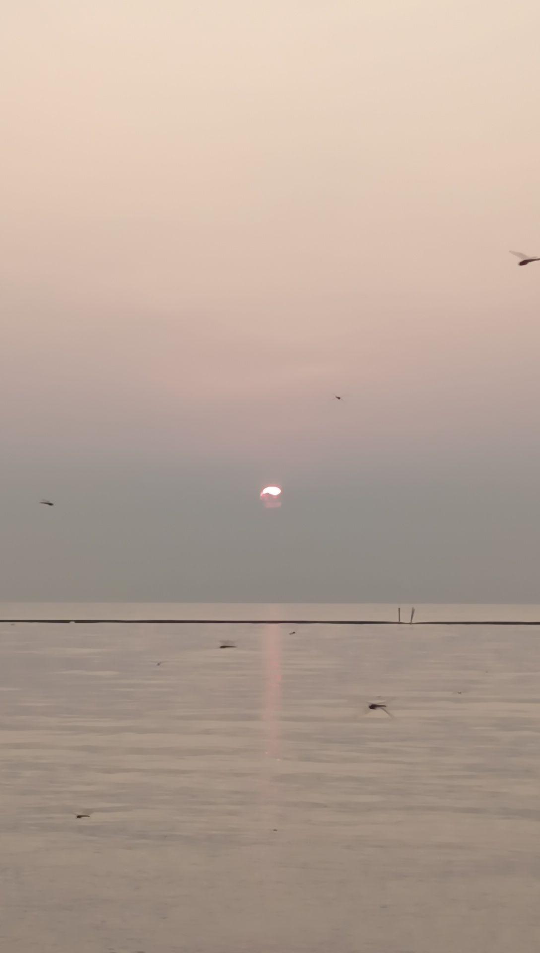 丁蜀太湖绿道旅行图片 3