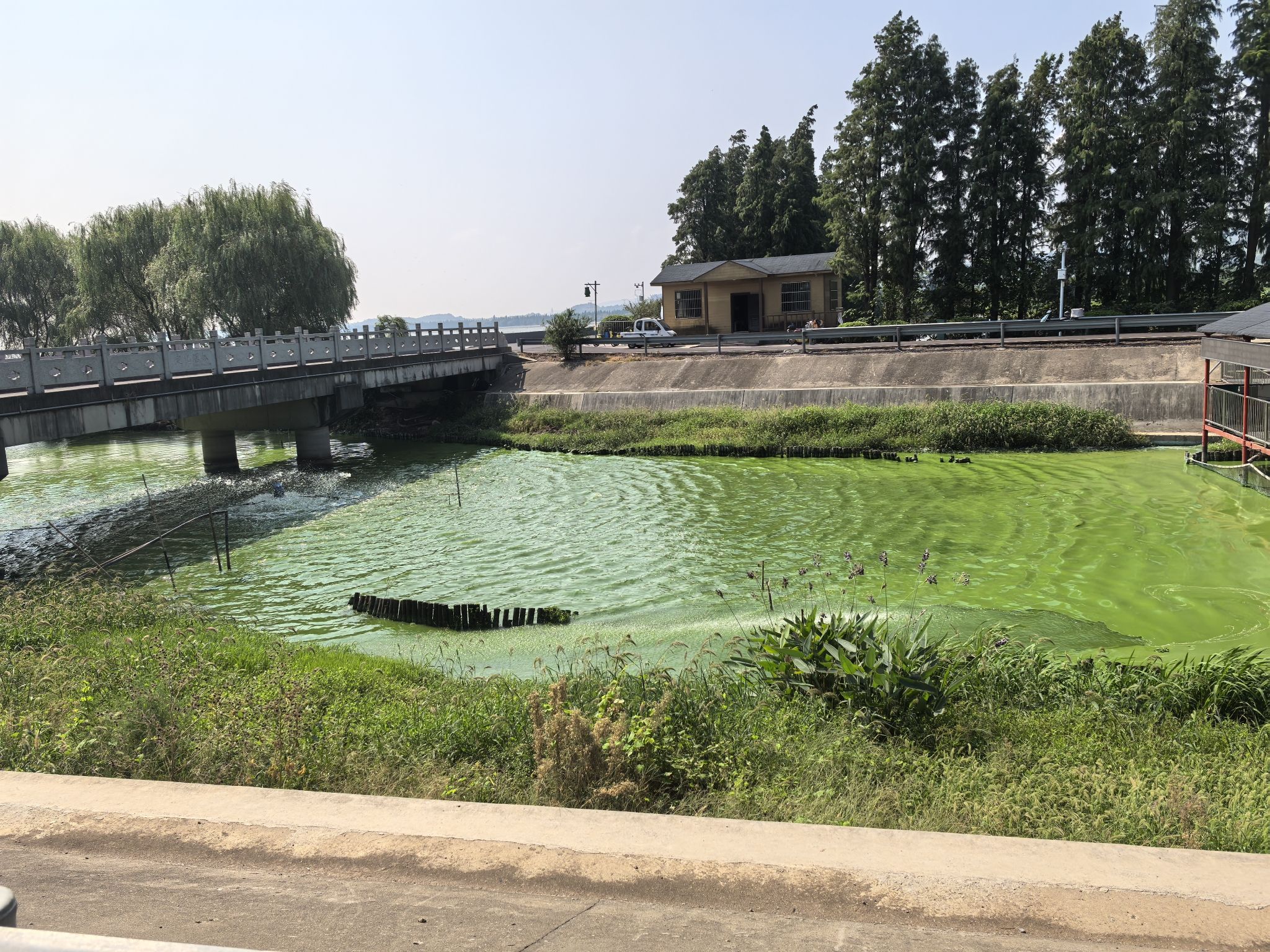 丁蜀太湖绿道旅行图片 2