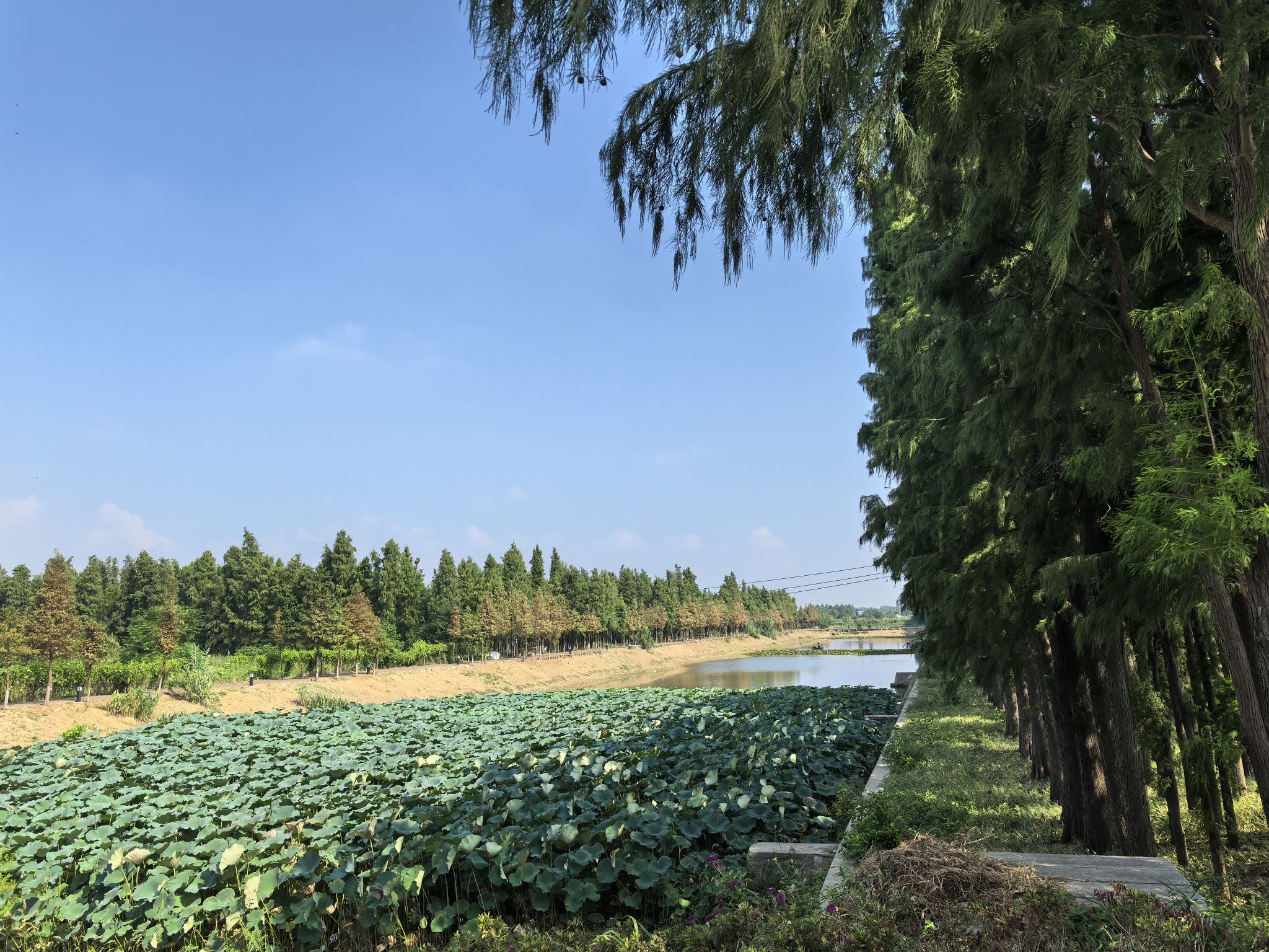 丁蜀太湖绿道旅行图片 3