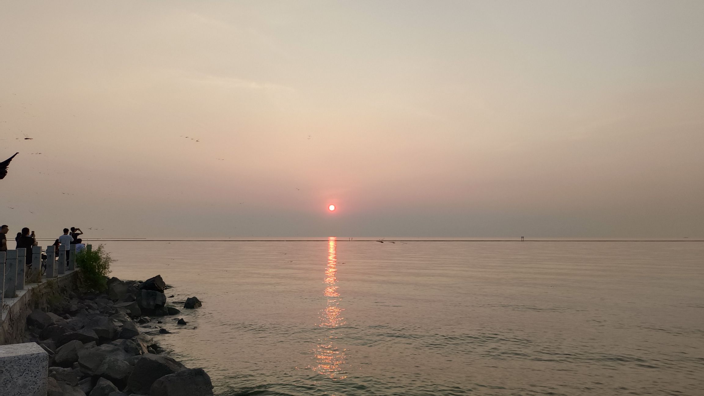 丁蜀太湖绿道旅行图片 2