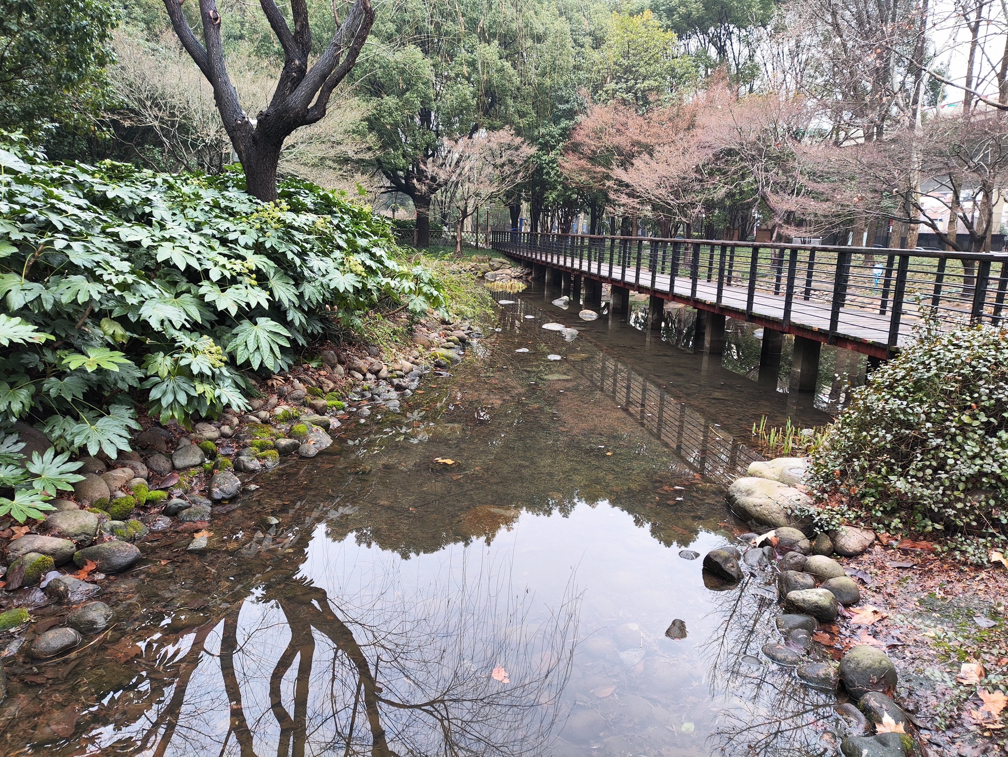 延中广场公园旅行图片 2
