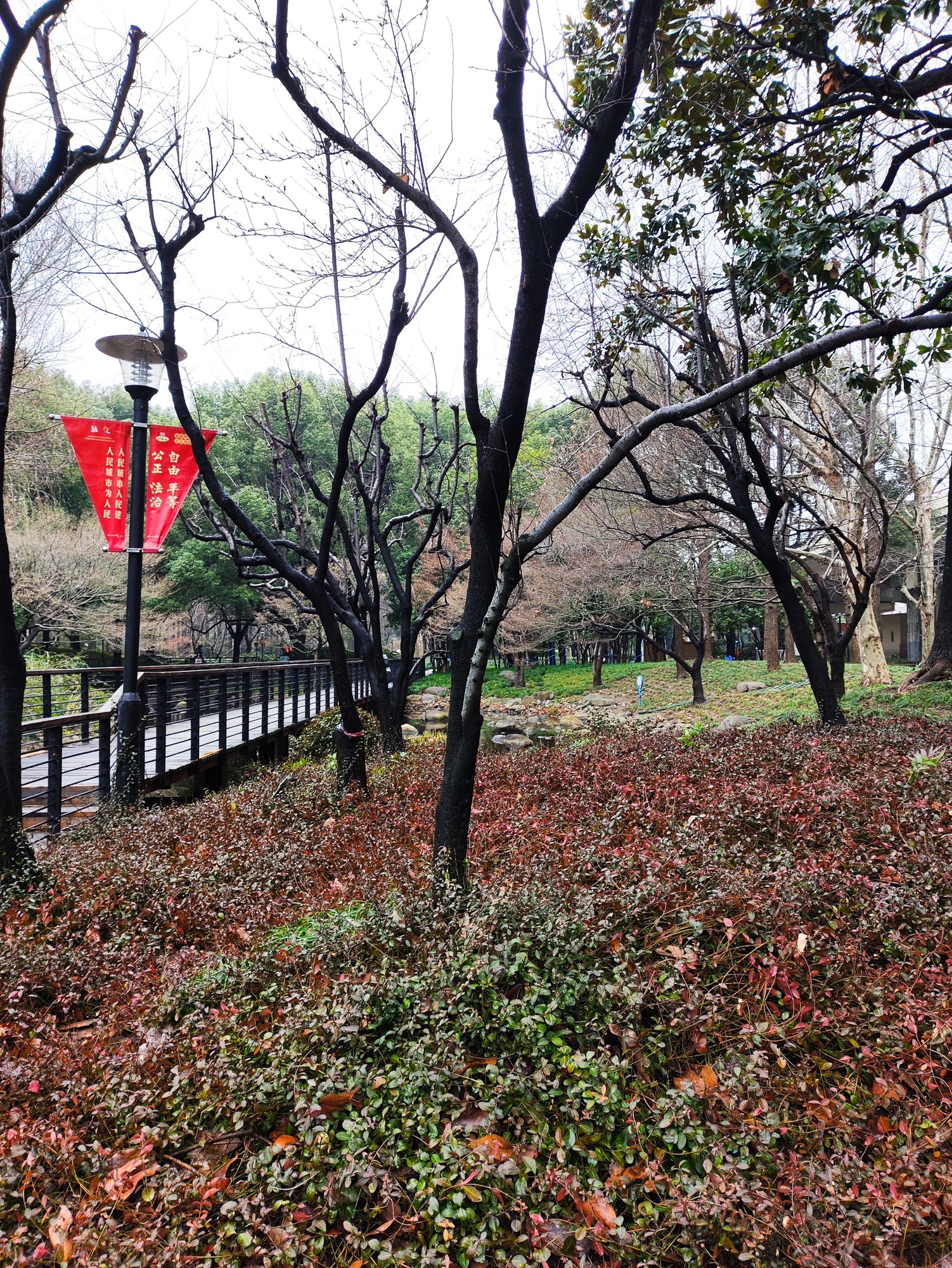 延中广场公园旅行图片 3