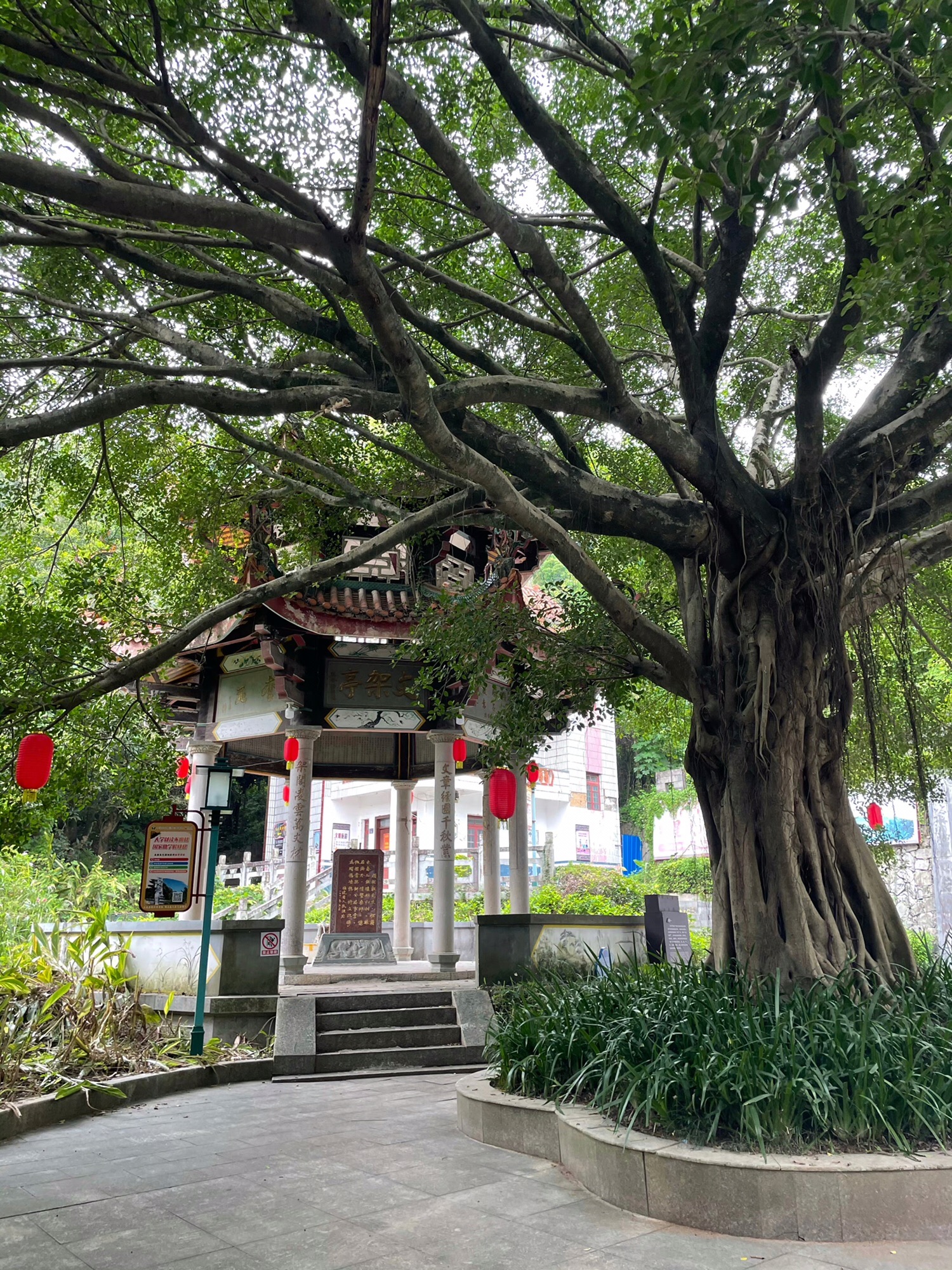 魁星岩风景区旅行图片 3