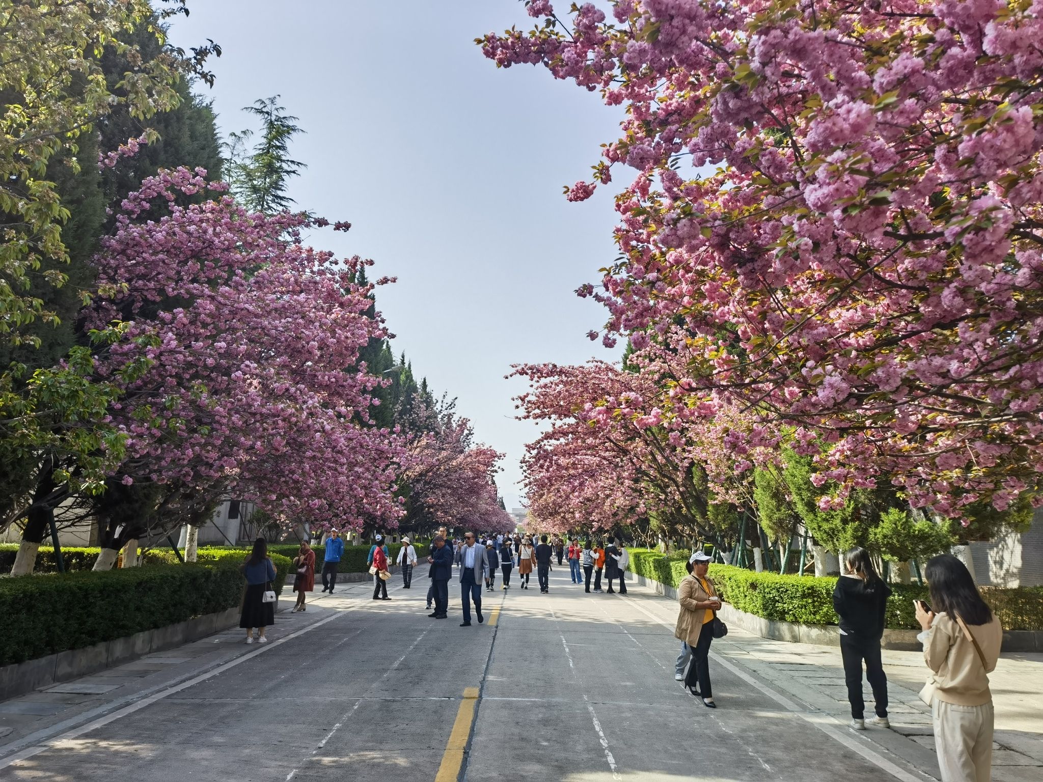 陇南市金徽酒文化生态旅游景区