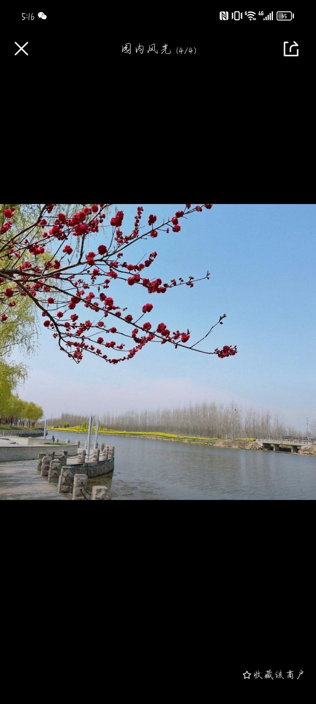 古黄河爱情主题公园旅行图片 1
