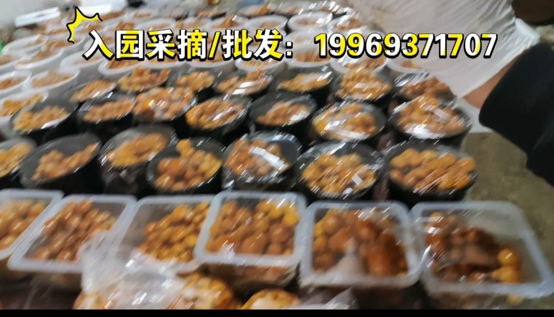 天津5G菌菇产业园旅行图片 2