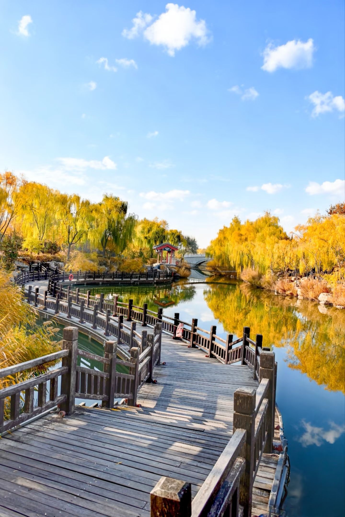 水上公园景点图片