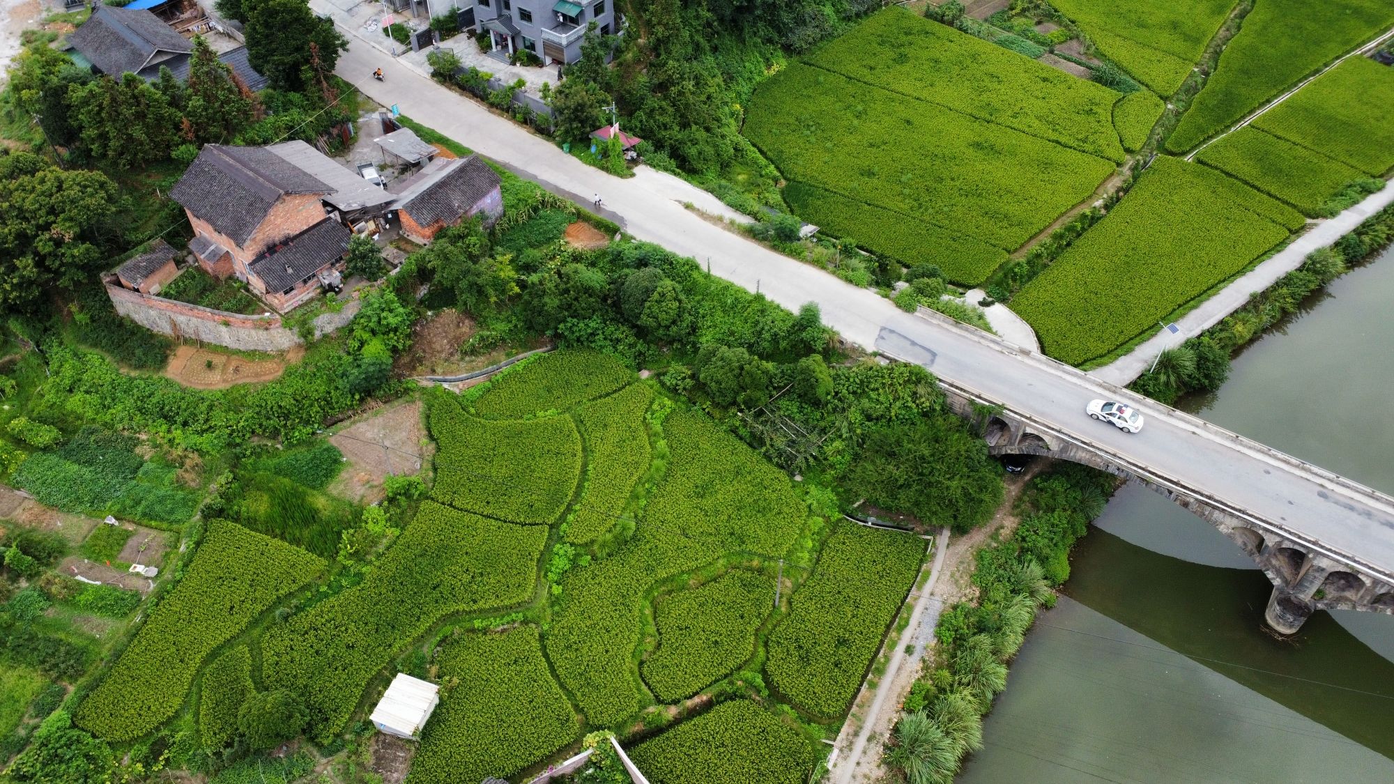 寨市古镇旅行图片 1