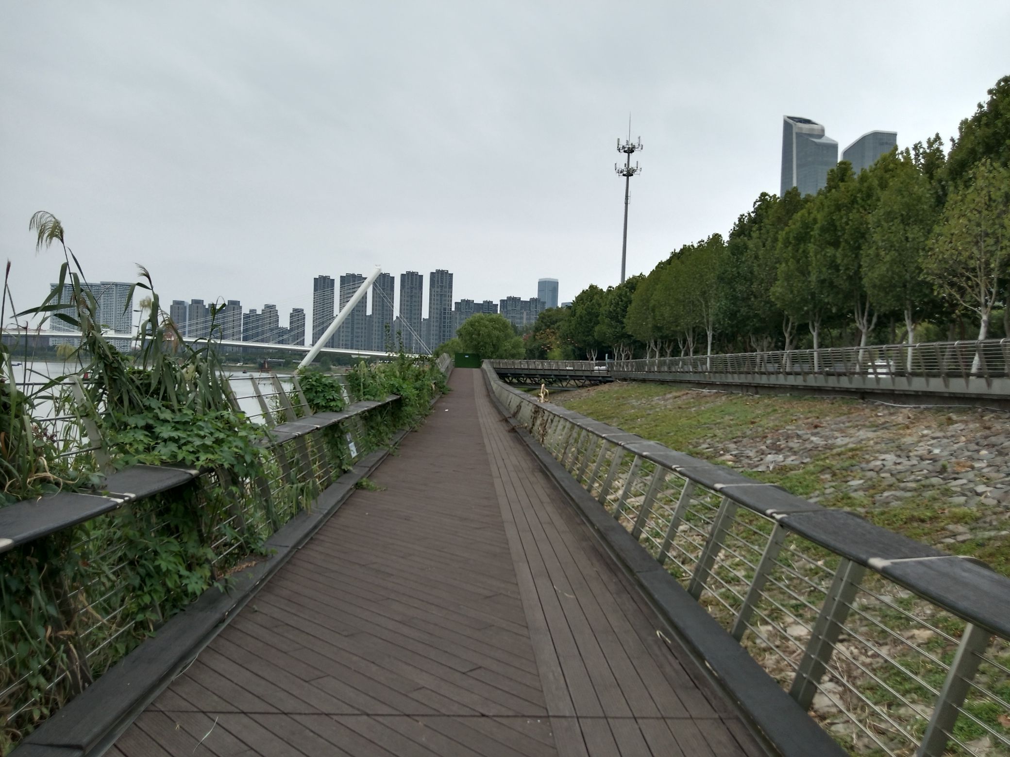 湿地浮岛旅行图片 1