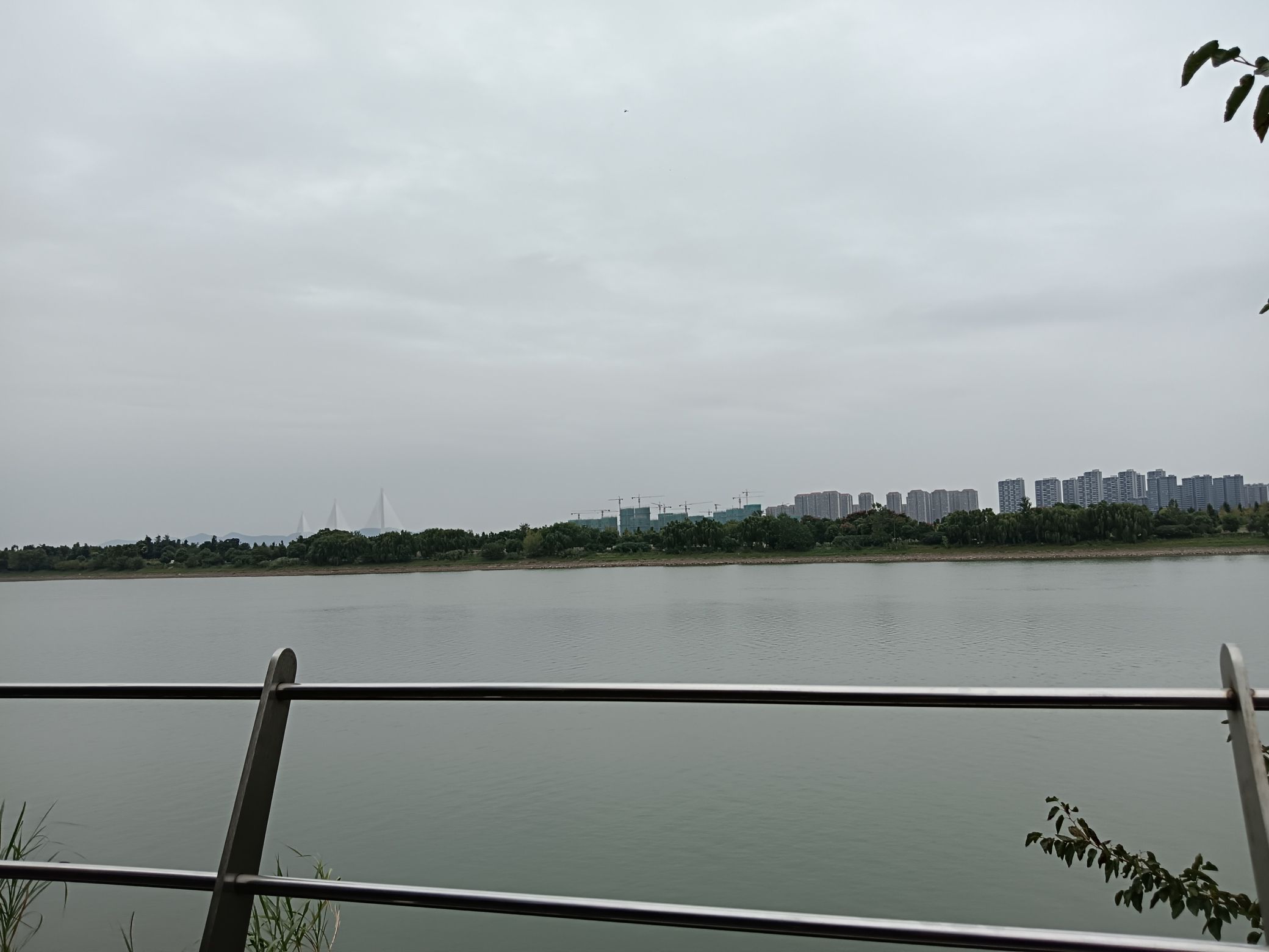 湿地浮岛旅行图片 2