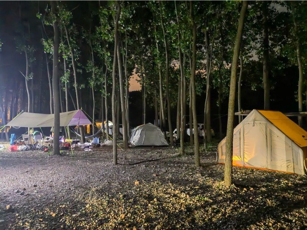 龙居黄河森林旅游区旅行图片 2