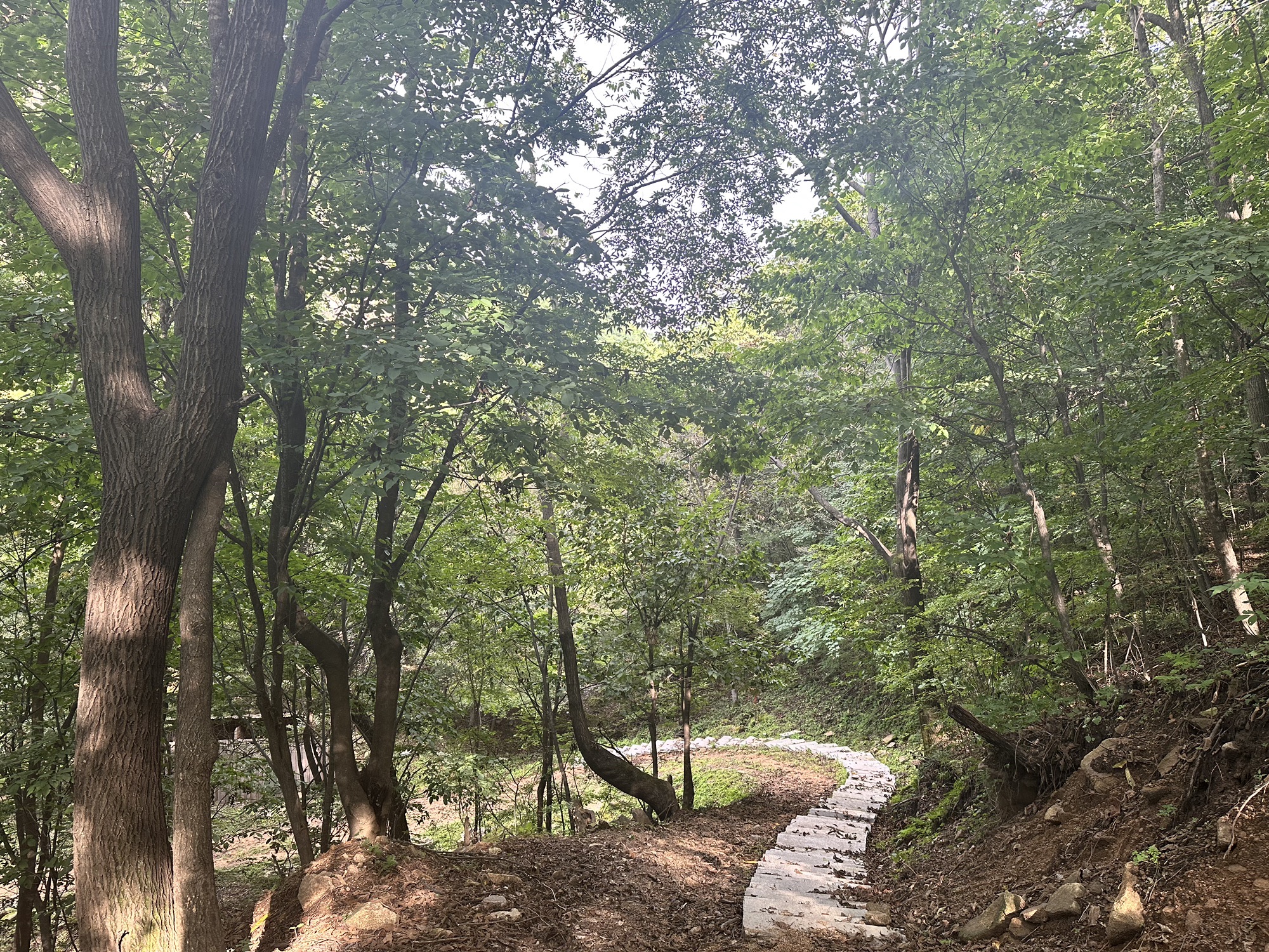 蛟河鹿角沟旅行图片 2