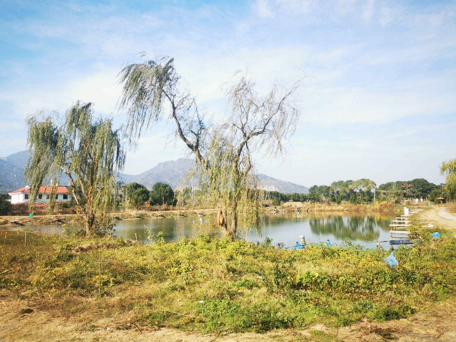 永顺植物园旅行图片 1
