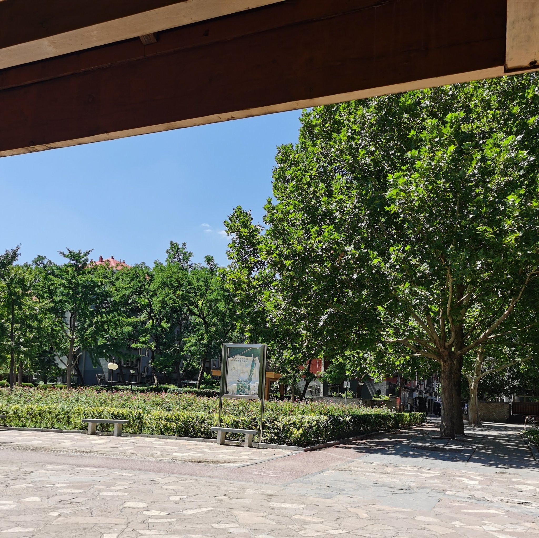 涌溪公园旅行图片 3