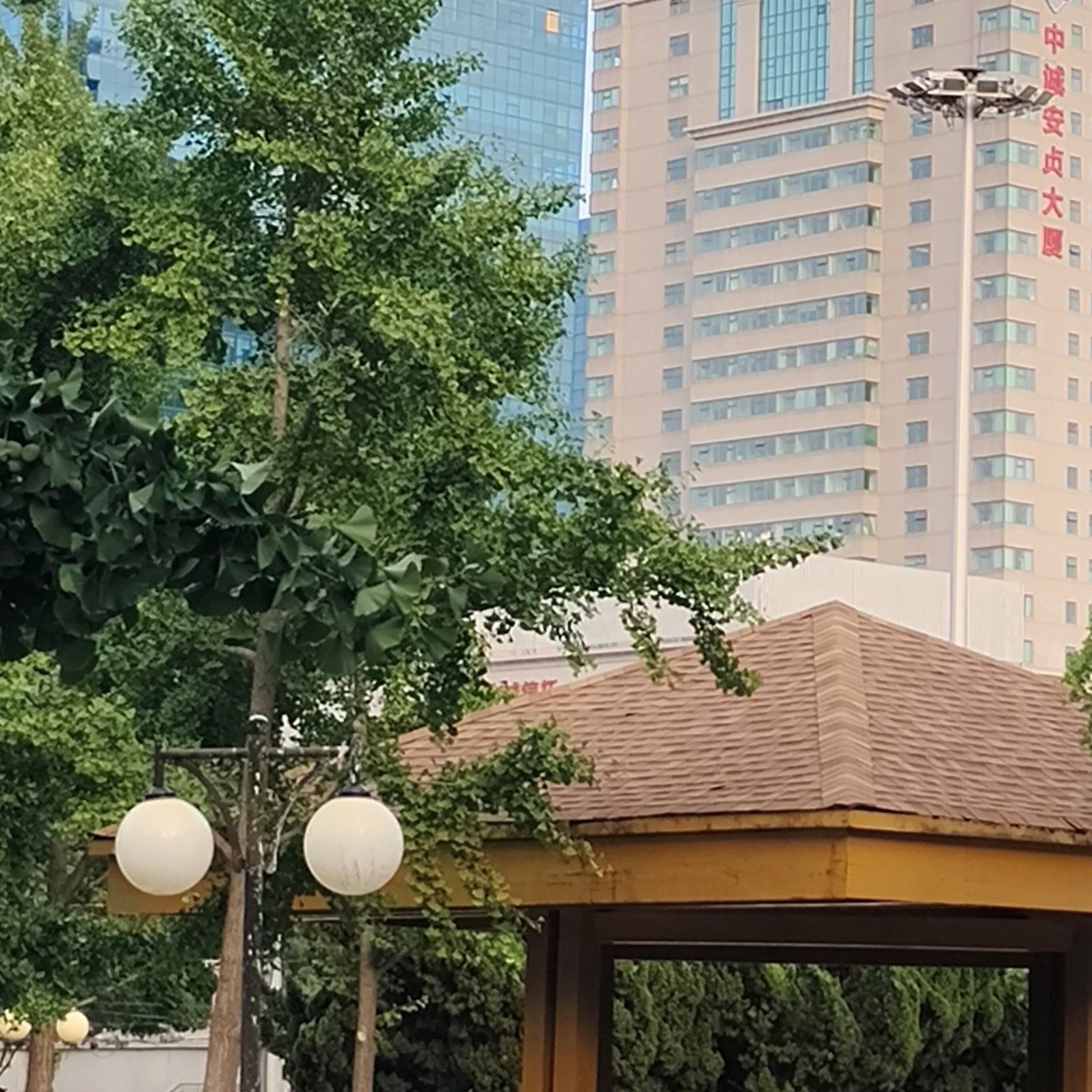 涌溪公园旅行图片 1